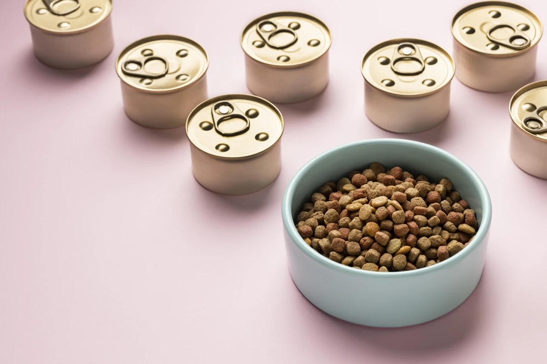 Illustration actualité « Comment tester des croquettes pour mon chien gratuitement ? »