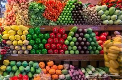 مشروع استيراد الخضار والفاكهة
