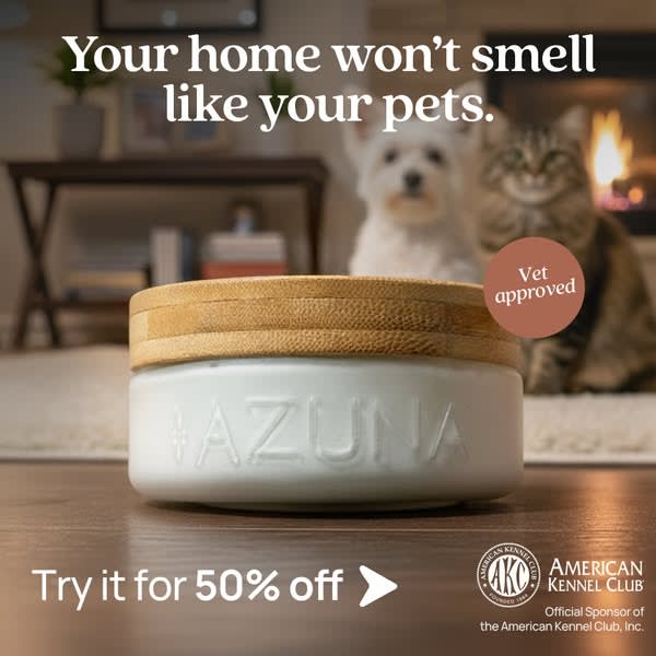 Azuna ad