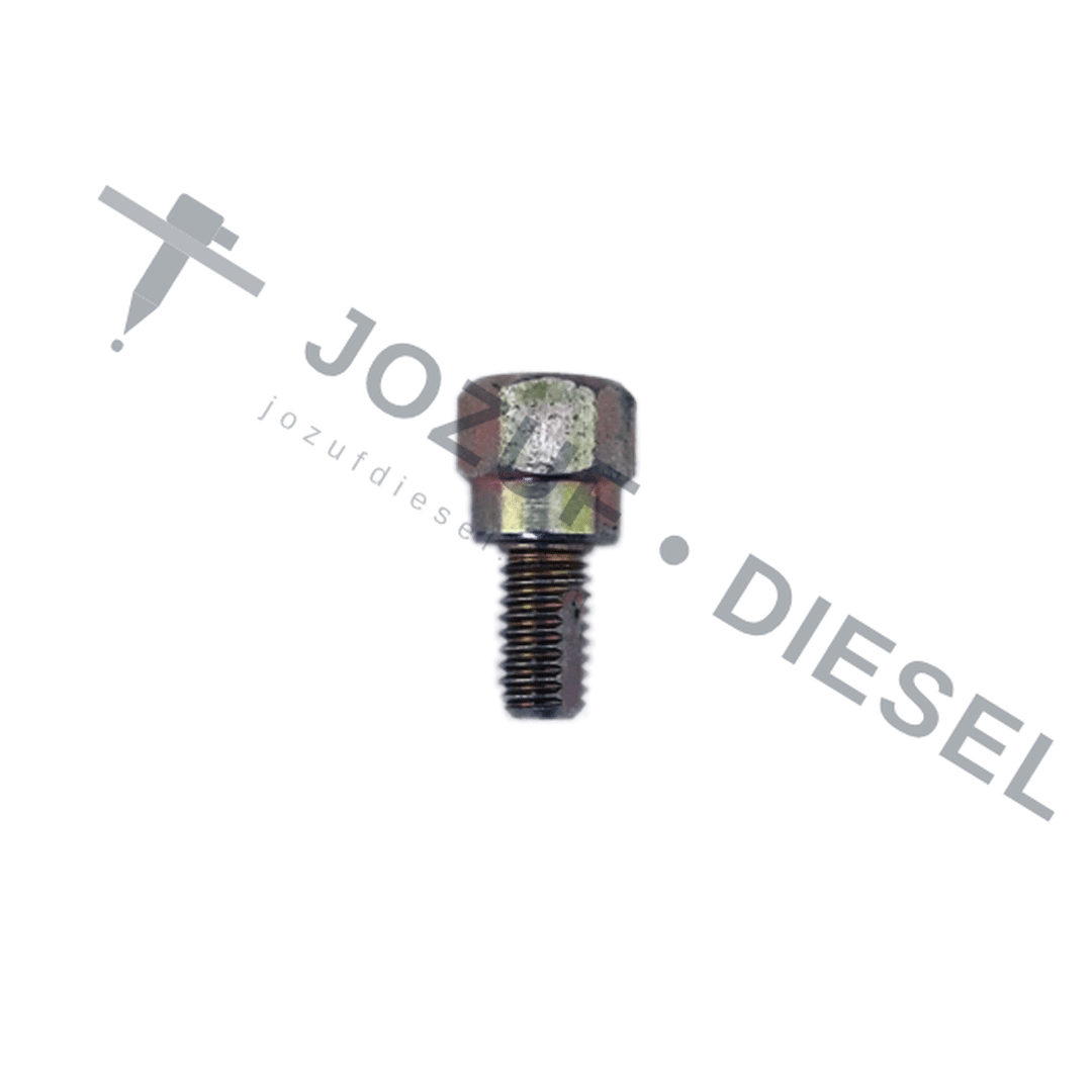 Bosch 10mm Air Bleed Fitting (6mm Thread)