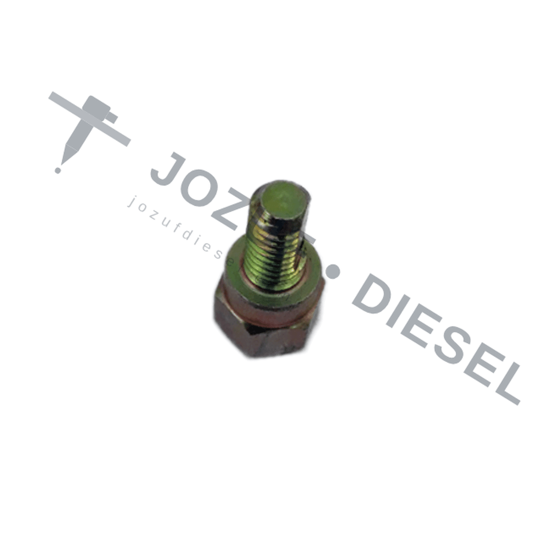 Bosch 10mm Air Bleed Fitting (6mm Thread) 2