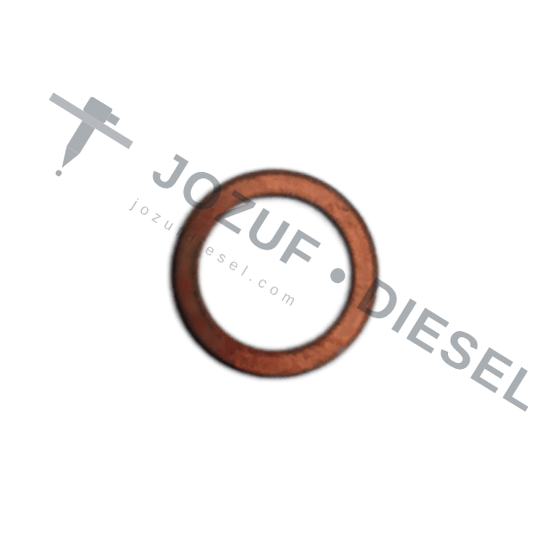 001 Delivery Valve Washer