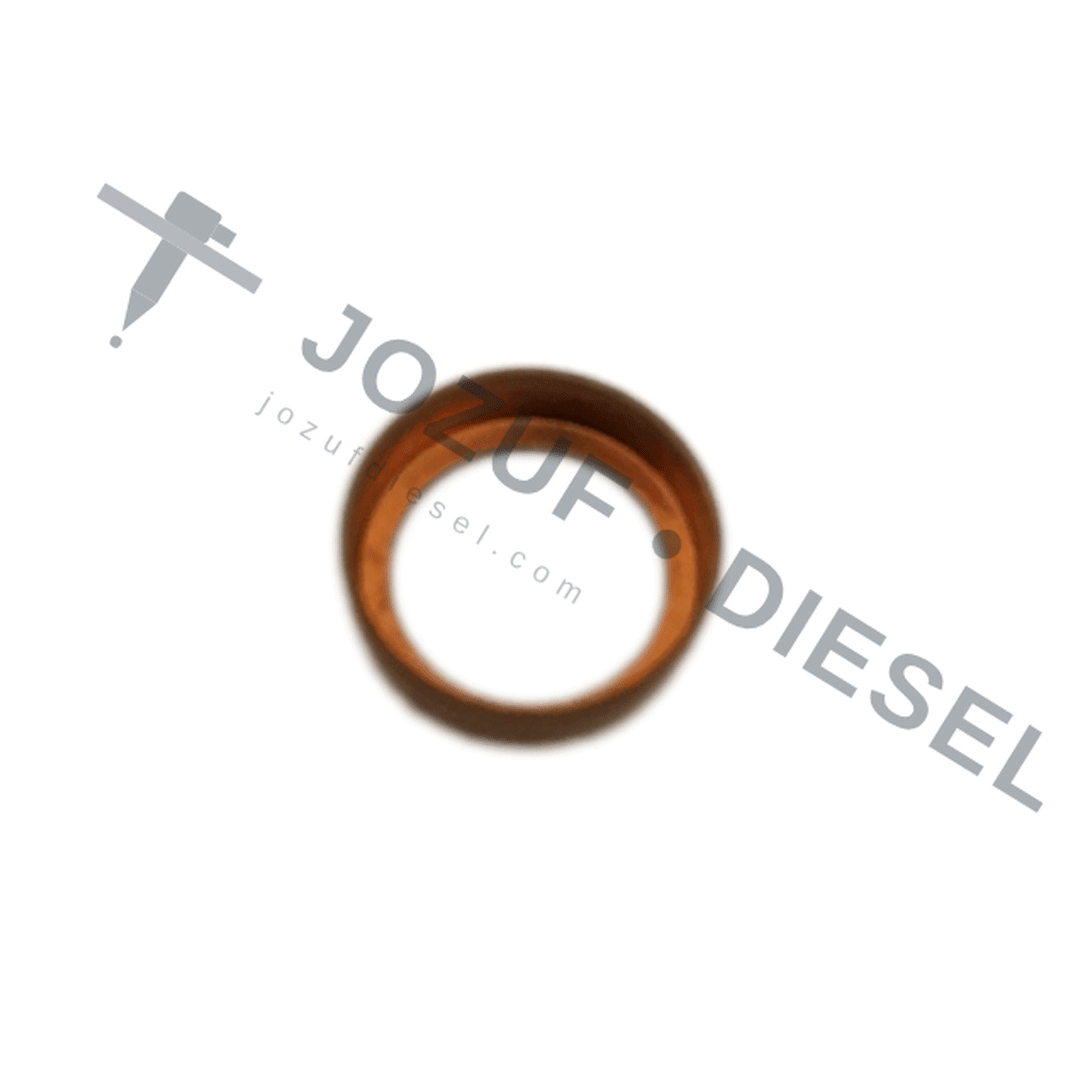 352-Mercedes Cupped Delivery Valve Washer