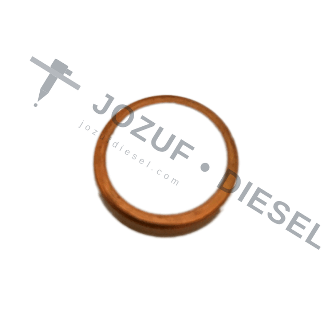P-Type Delivery Valve Washer 3