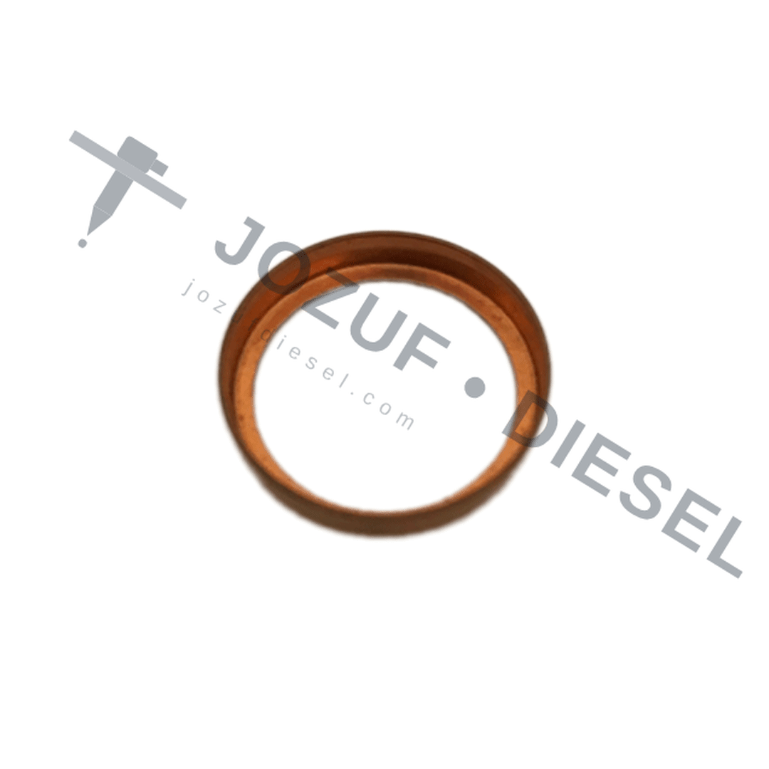 P-Type Delivery Valve Washer 2