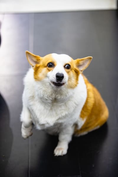 an image of something