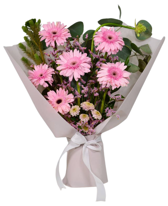 Sunshine Celebration