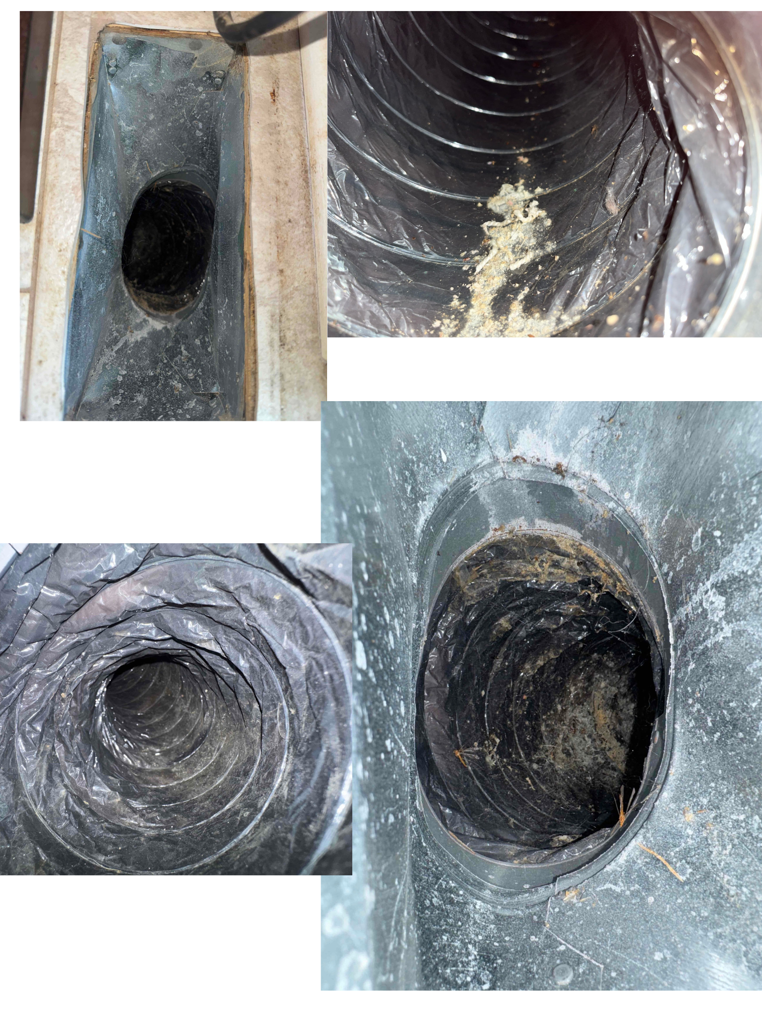 Cutting Edge Total Comfort ensures your indoor air quality is pristine through top-notch duct cleaning services.
