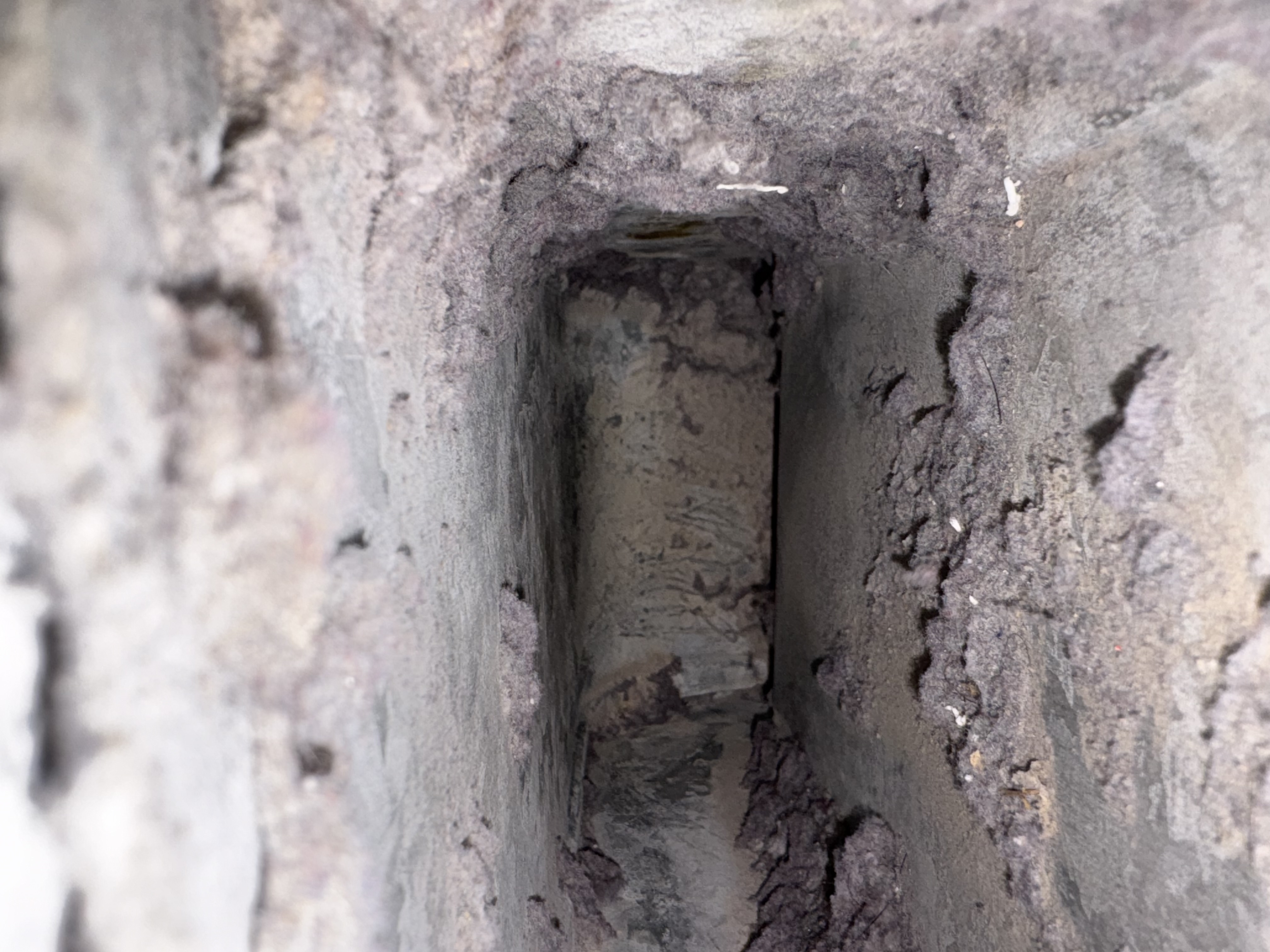 Enhance your home's air quality with professional duct cleaning from WireNut Home Services.