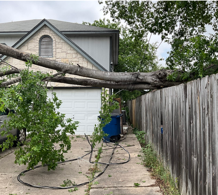 Ensure your home's safety with SALT Plumbing Air & Electric, providing timely tree removal and electrical repair services.