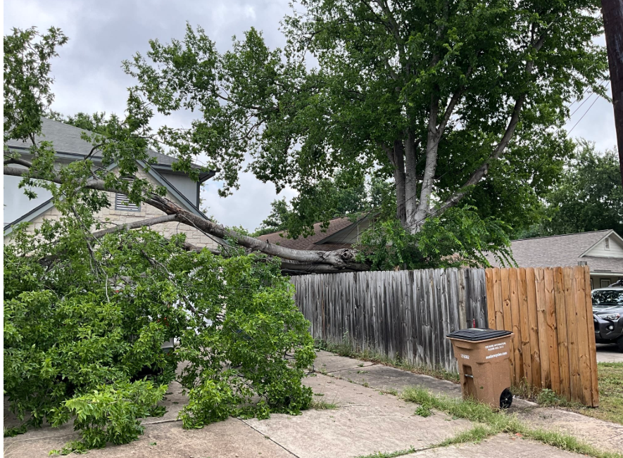 When unexpected challenges like fallen trees disrupt your day, trust SALT Plumbing Air & Electric to provide quick and reliable service to restore normalcy.