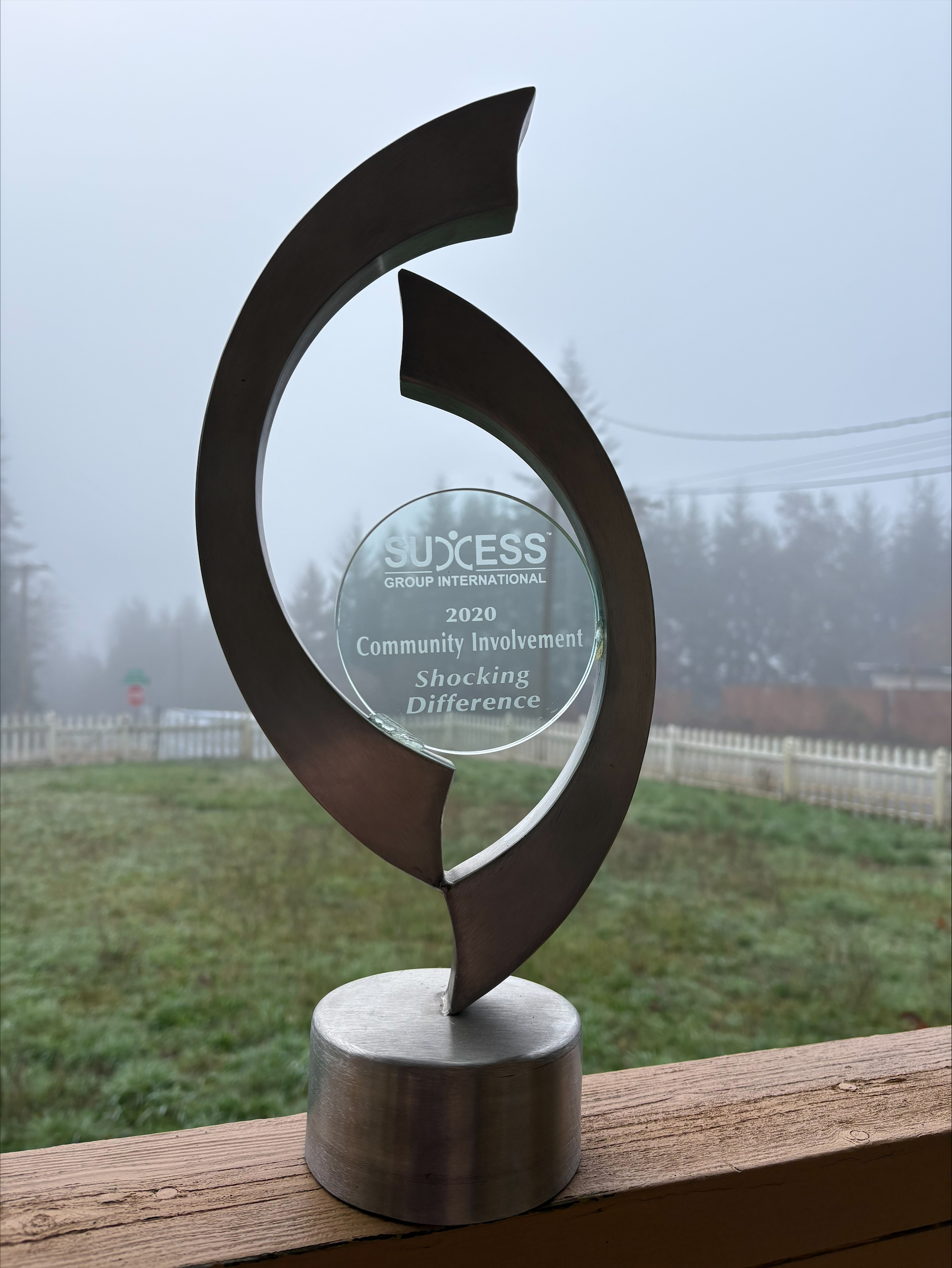 Experience the excellence recognized by the 2020 Community Involvement award with Shocking Difference LLC.