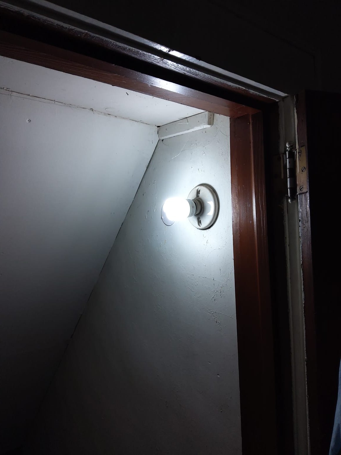 Illuminate your space with precision and reliability—trust Service Professionals to brighten your home, one light bulb at a time.