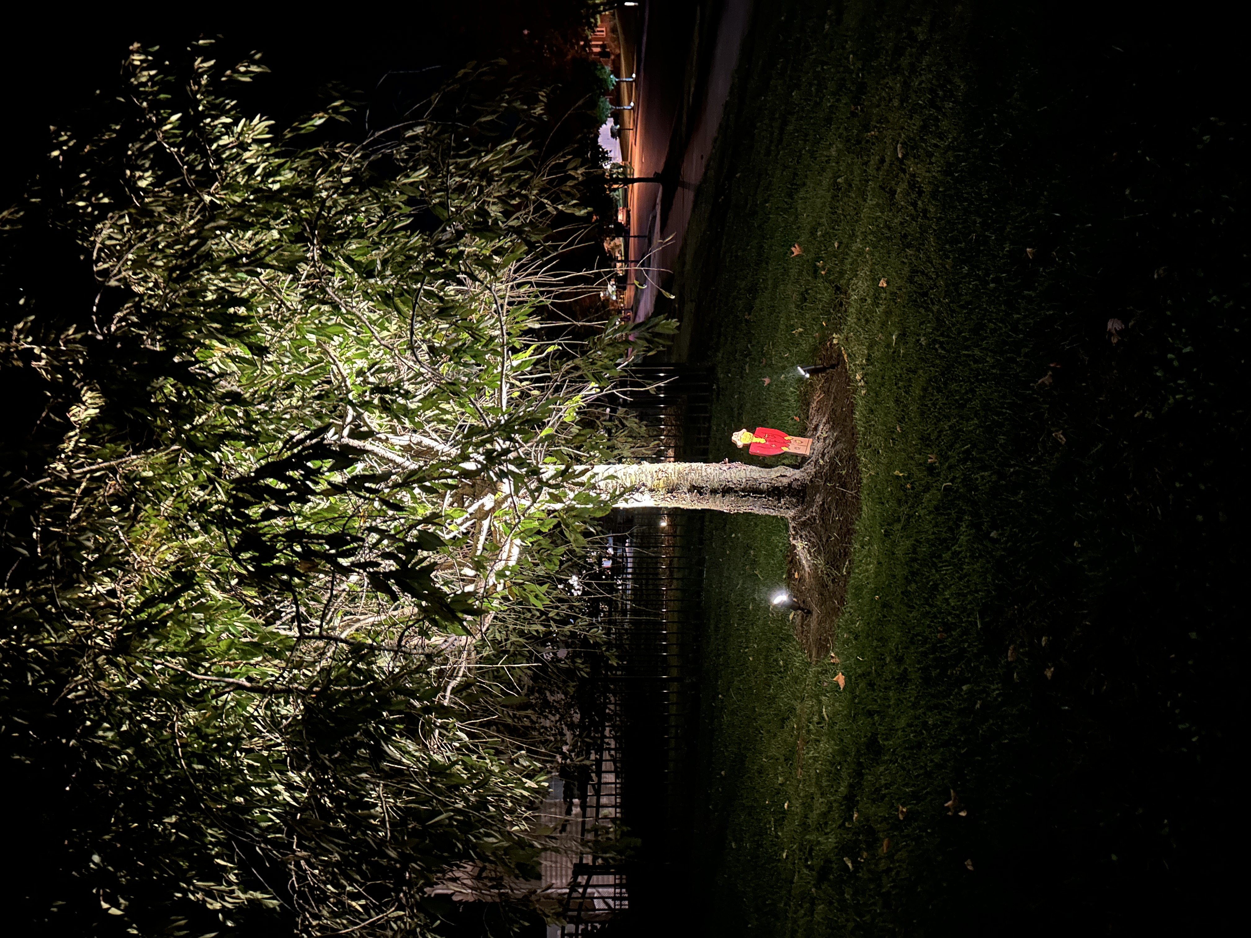 Embrace the serene beauty of a well-lit night scape with Boulden Brothers, where quality meets nature.