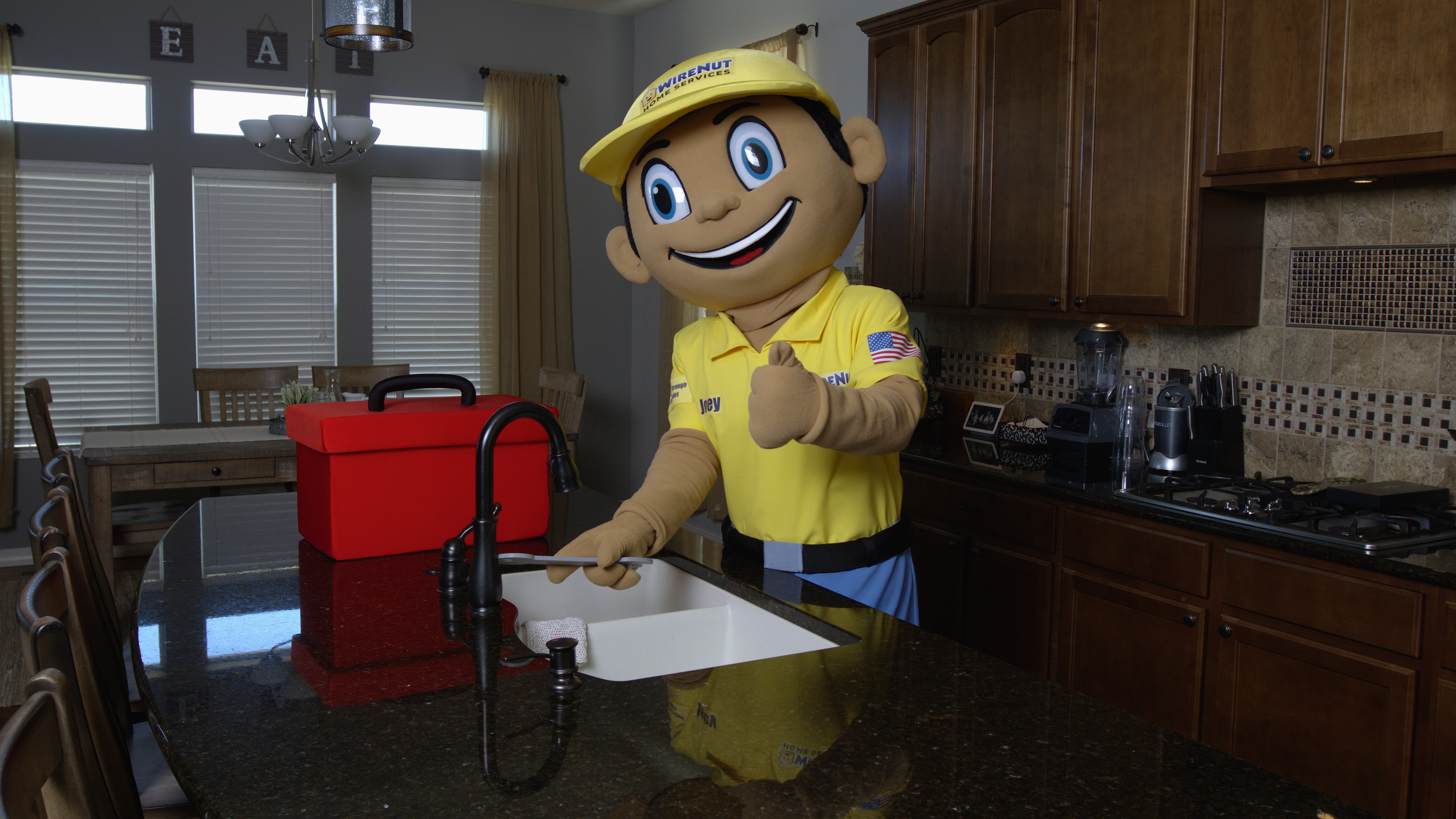 Experience friendly and professional plumbing services with WireNut Home Services - ready for any kitchen challenge!