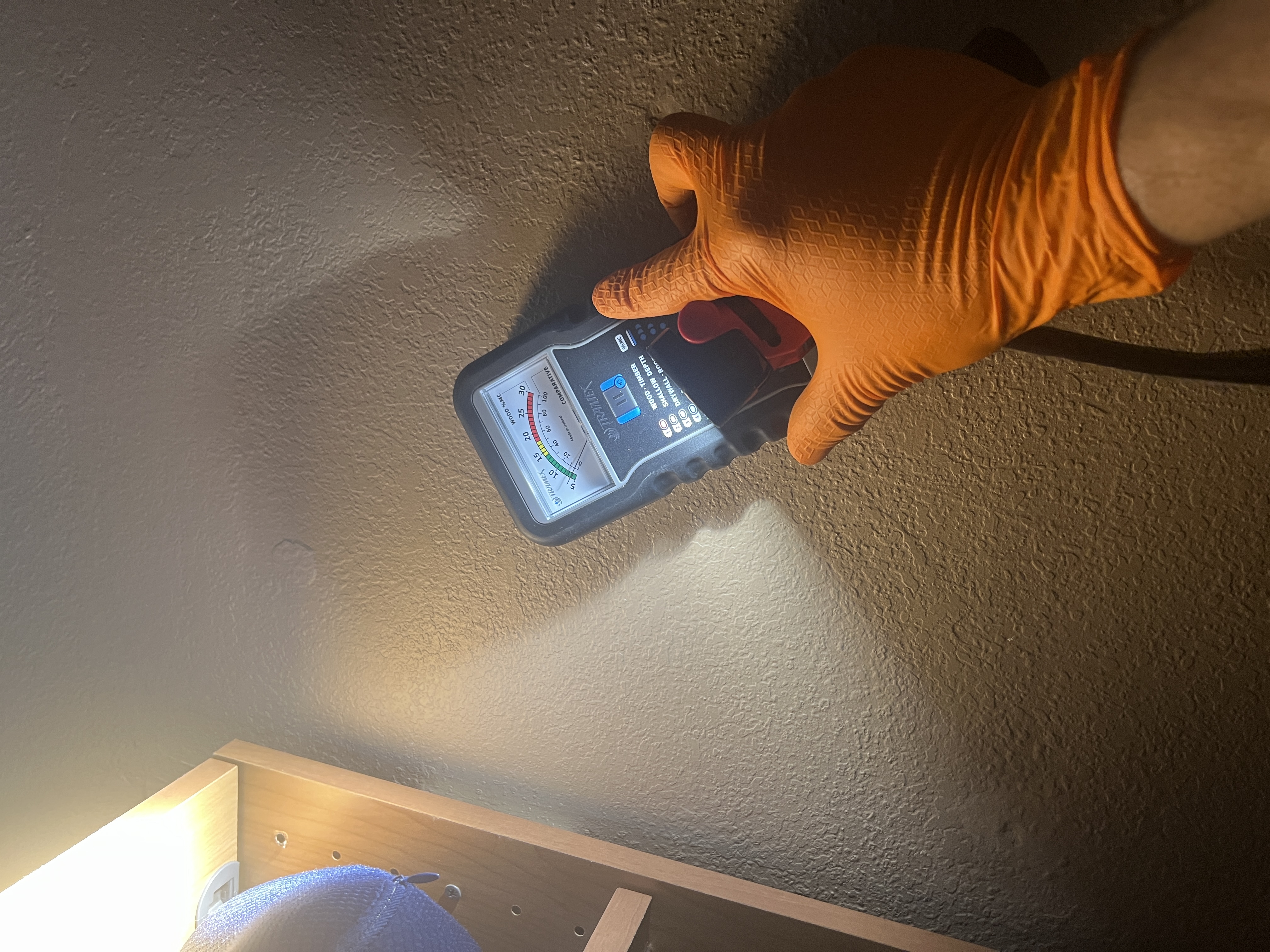 Rise Plumbing Systems demonstrates careful moisture inspection with trained technicians, giving homeowners confidence in accurate leak detection.