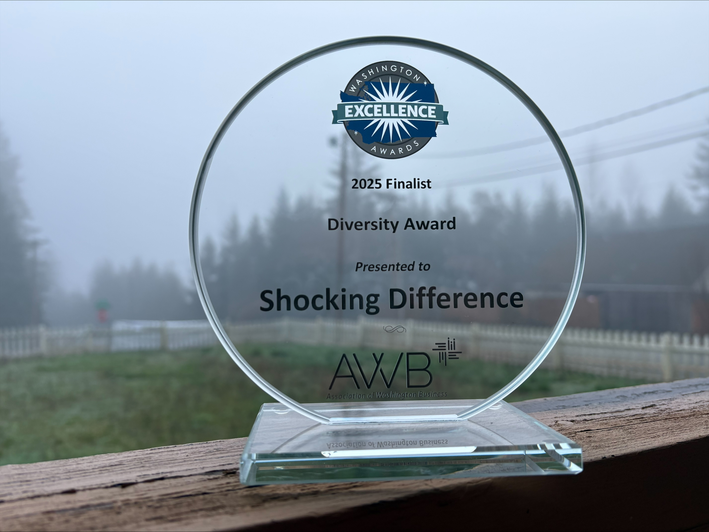 In 2025, Shocking Difference LLC stands tall as a symbol of excellence, being a proud finalist for the prestigious Diversity Award. Our commitment to inclusivity shines as bright as our service standards.