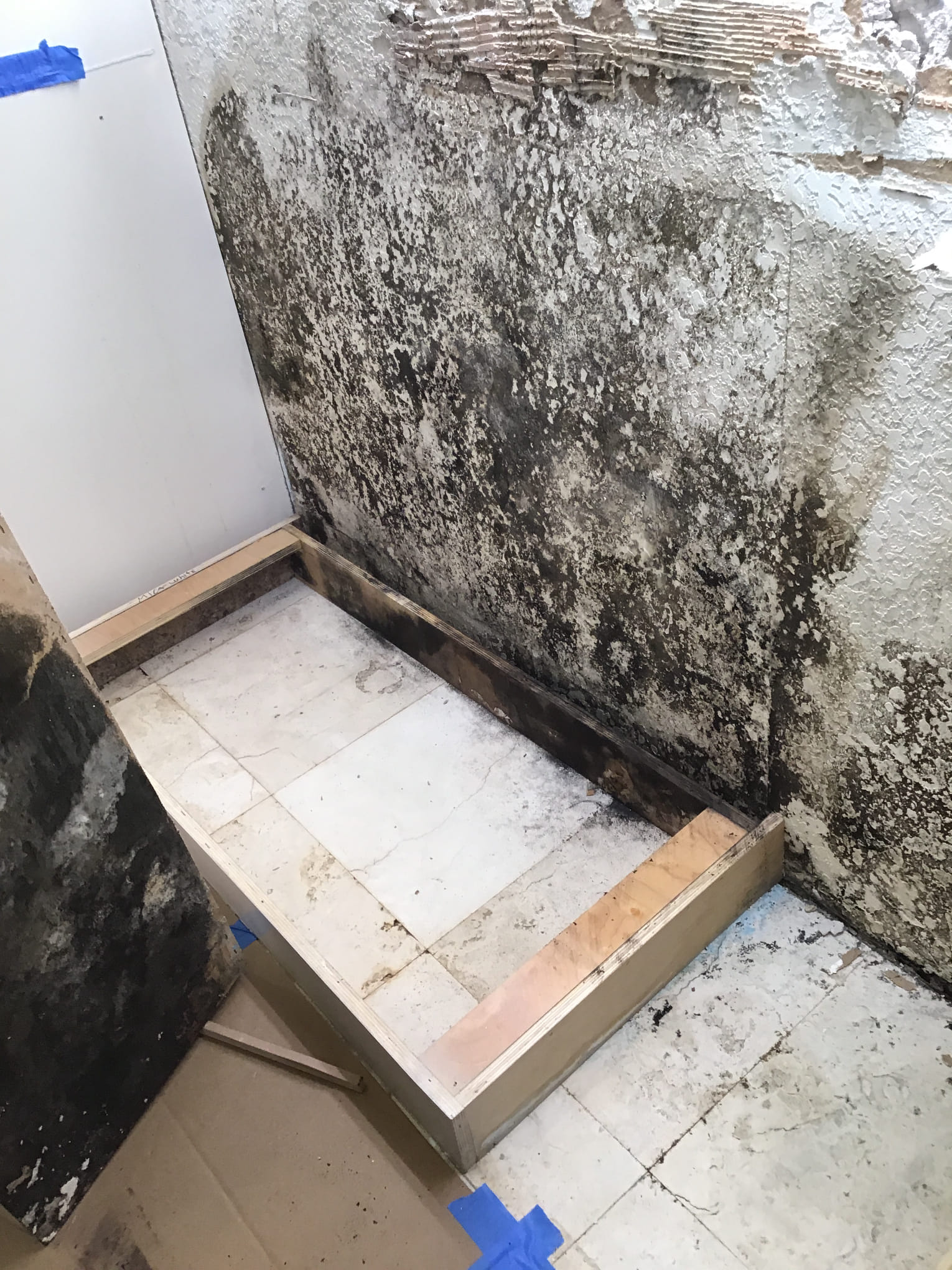 Trust Erica's Plumbing, Air Conditioning & Restoration for comprehensive mold and water damage restoration that brings your space back to life.
