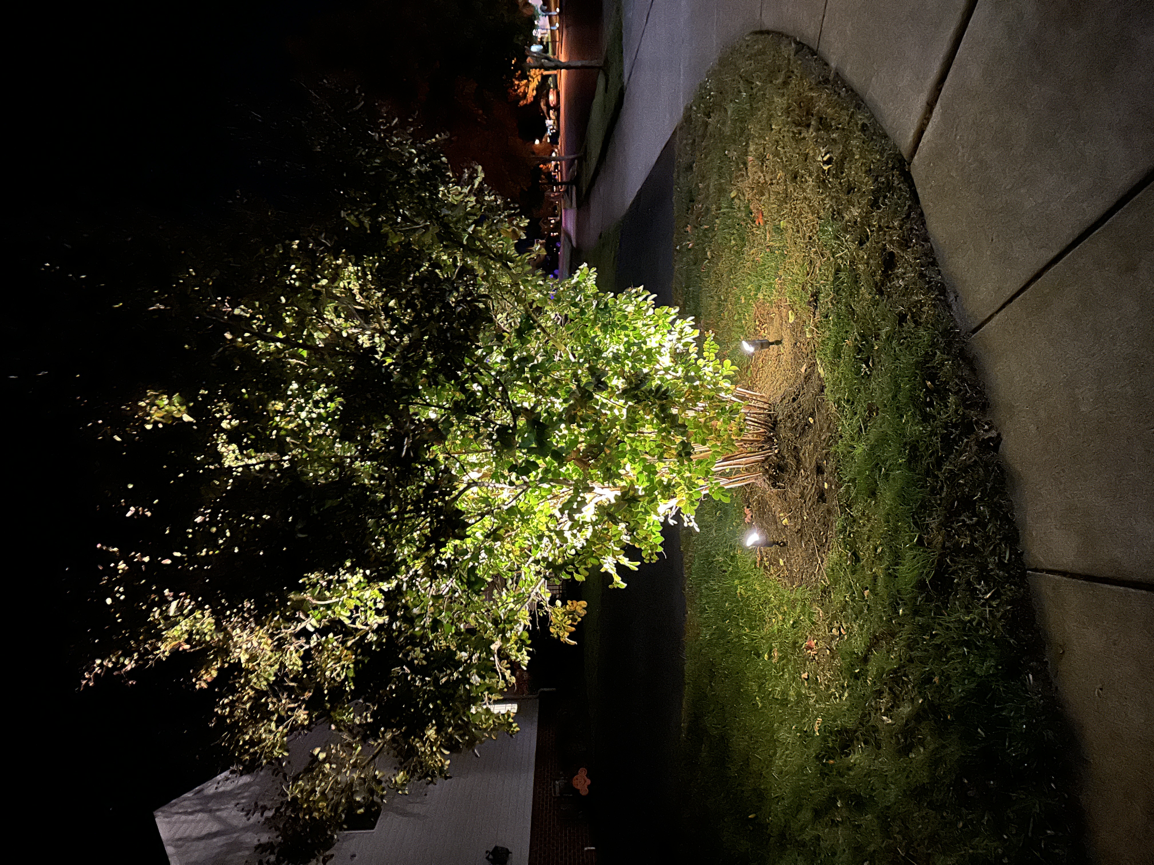 Illuminate your outdoor space with expertise and creativity by Boulden Brothers.