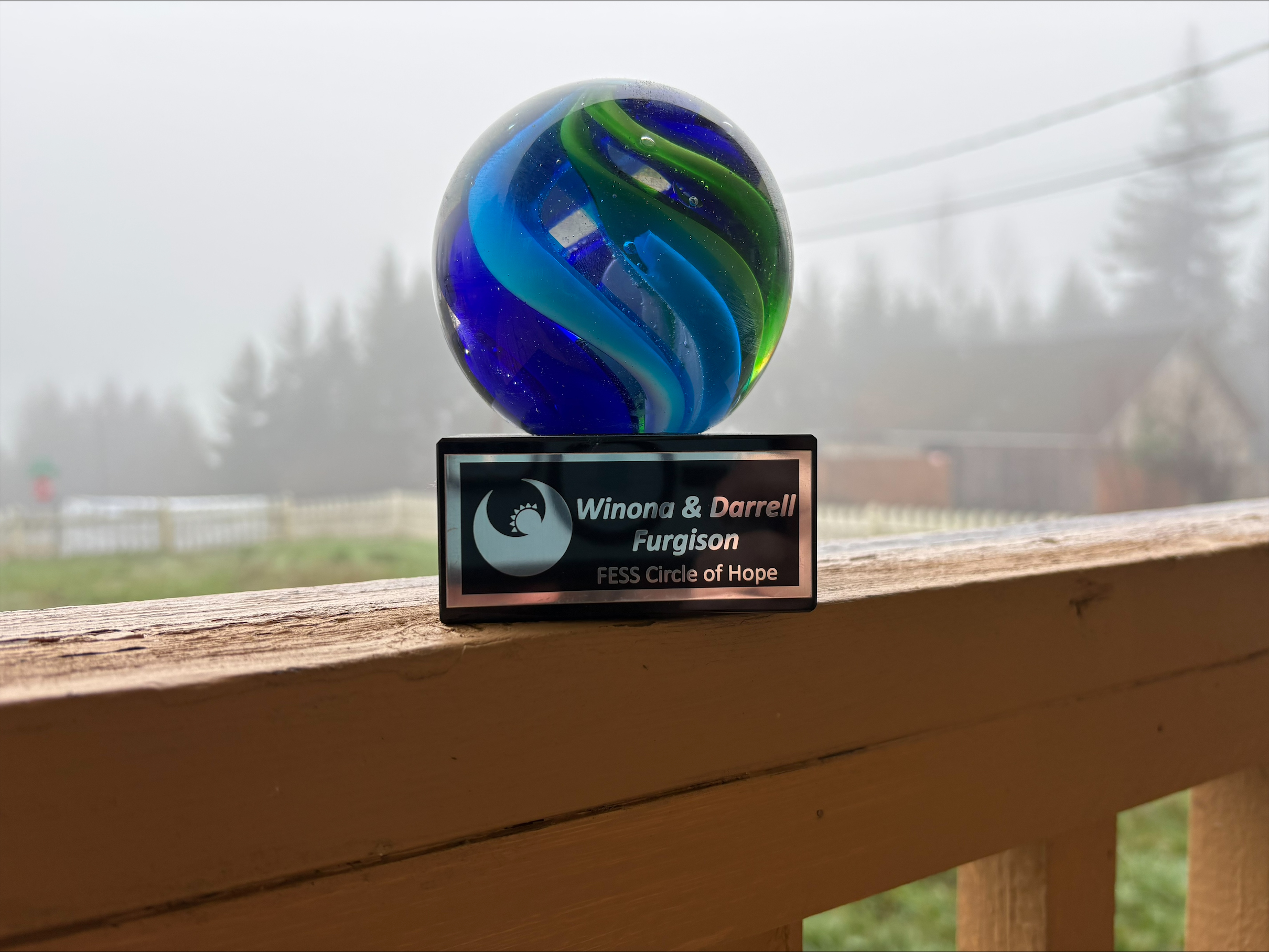 Discover how Shocking Difference LLC stands out with creativity and recognition, as depicted by this stunning award against a serene outdoor landscape.