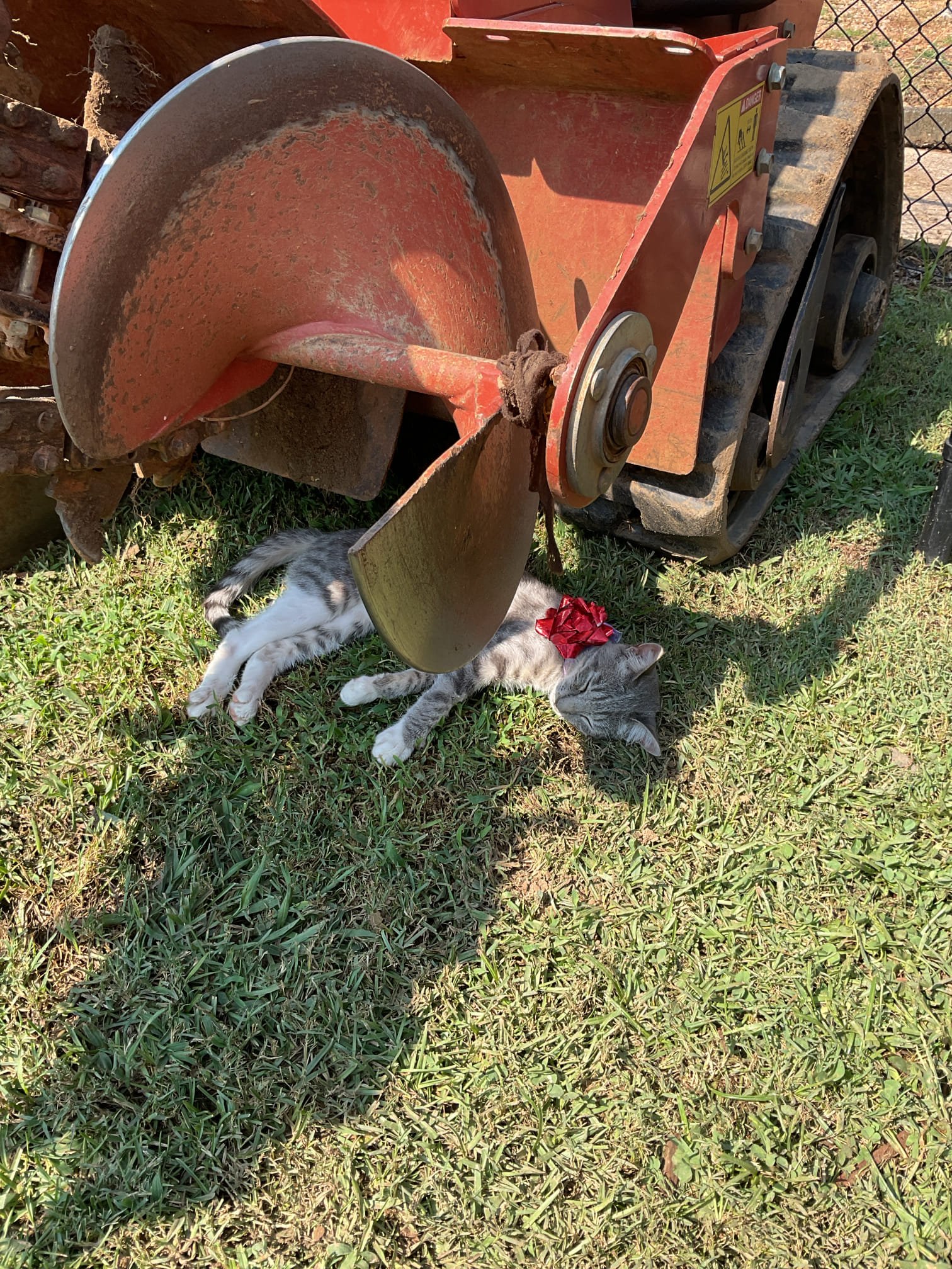 Moncrief Heating & Air Conditioning ensures even our furry friends feel at home near our robust equipment, showcasing our gentle touch and professional strength.