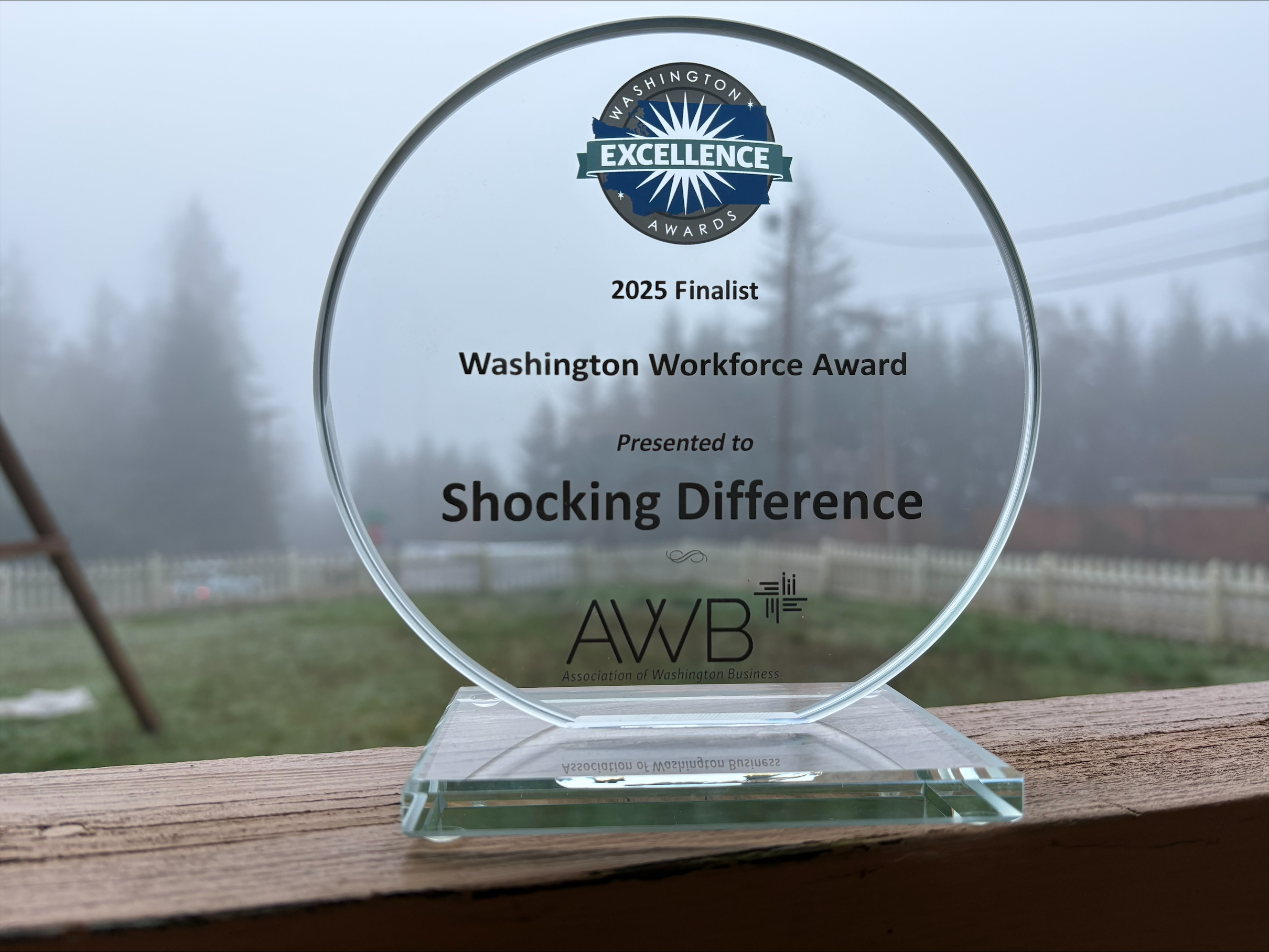 Celebrating the expertise of Shocking Difference LLC, recognized as a finalist for the 2025 Washington Workforce Award, exemplifying excellence and commitment.