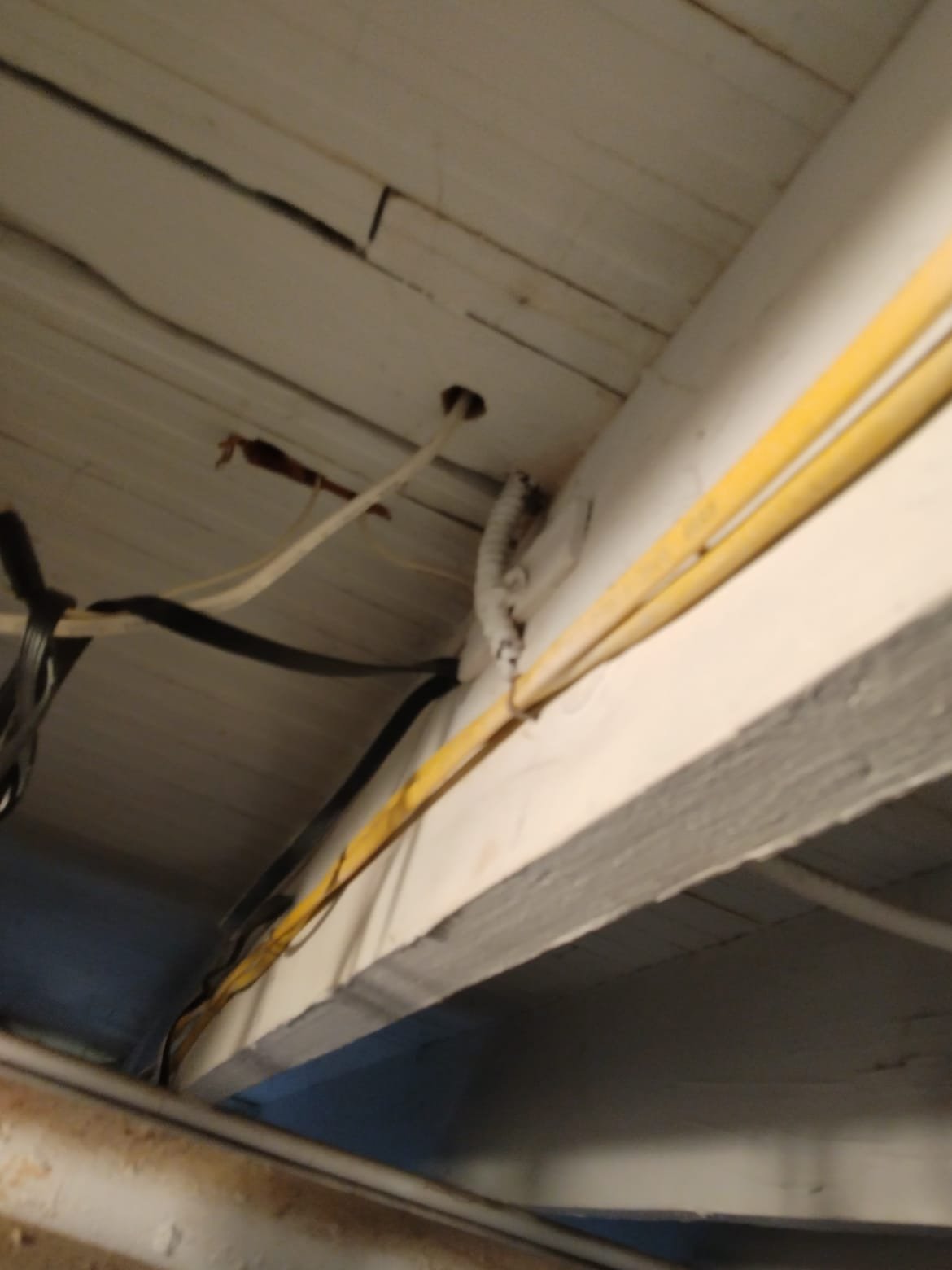 Trust Service Professionals for all your electrical needs - quality and expertise you can rely on.