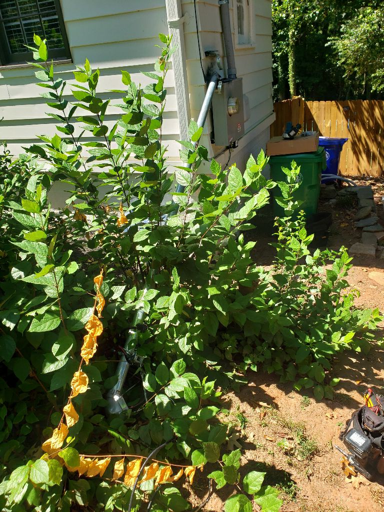 Ensure your home's safety and efficiency with Aardvark Electric, Inc.'s expert outdoor electrical services.