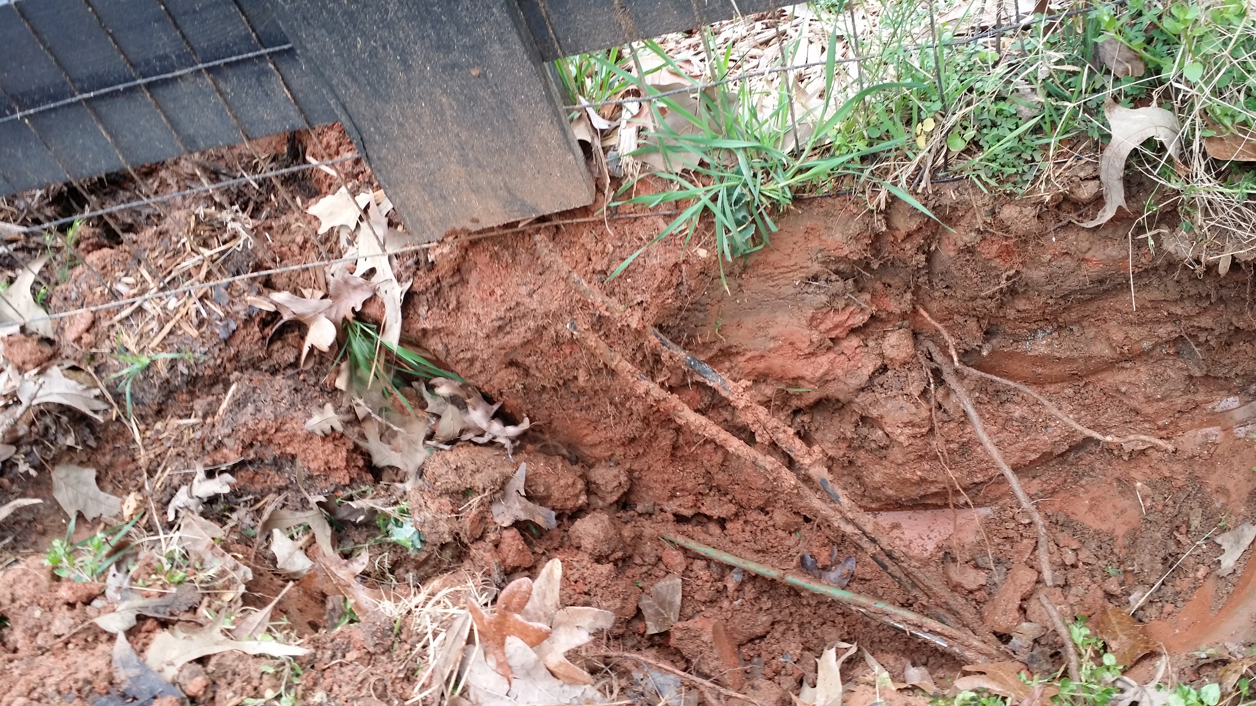 Aardvark Electric, Inc. is committed to professional excellence, though this image does not showcase our core electrical services.