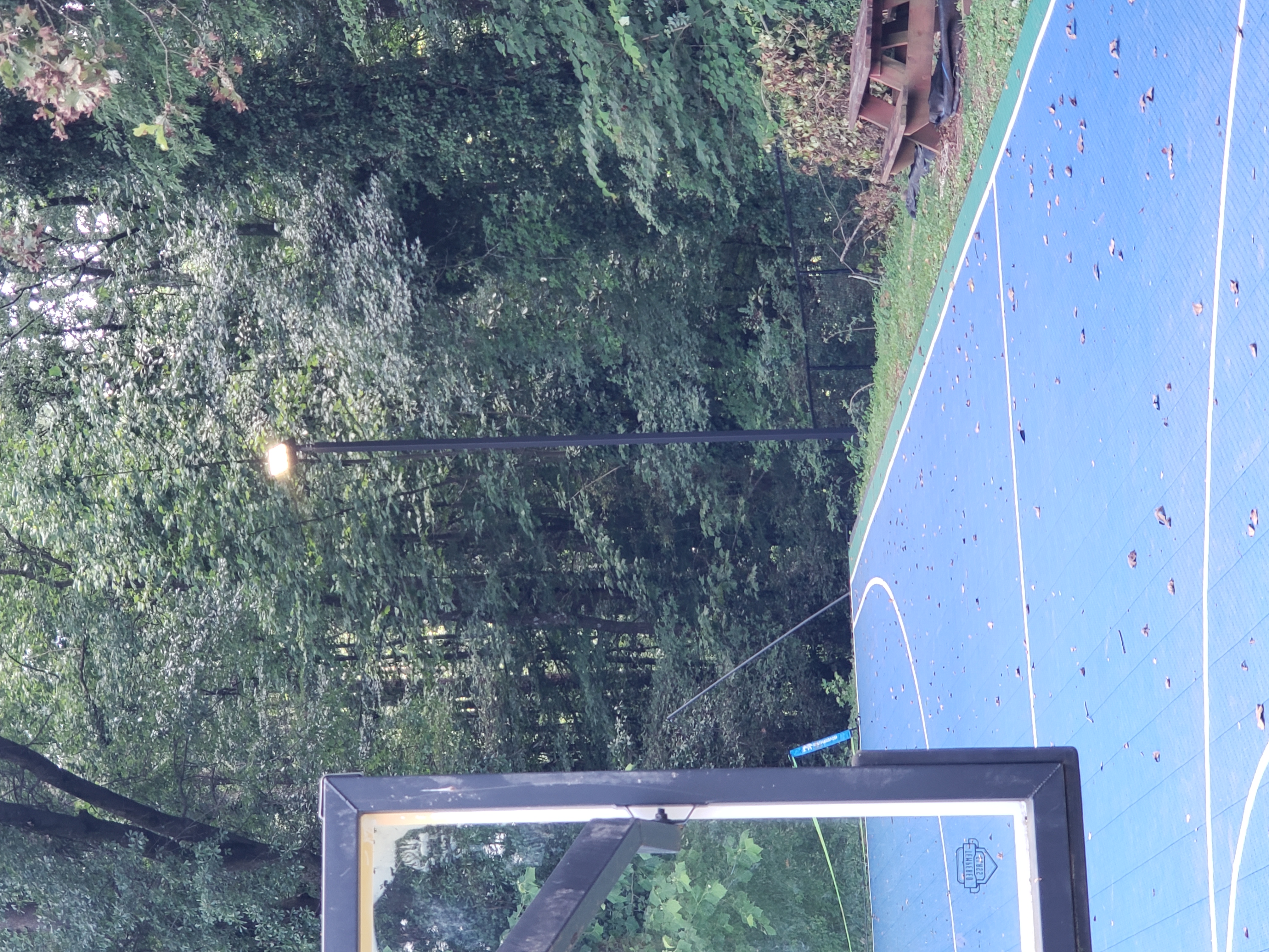 Illuminate your outdoor spaces with Aardvark Electric, Inc.'s reliable lighting solutions.