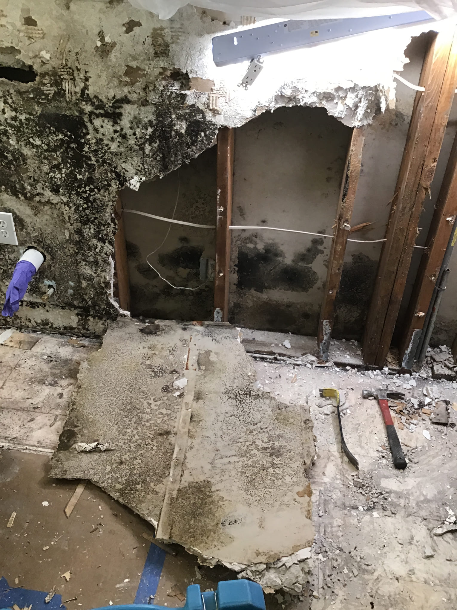 Restore your home with Erica's Plumbing, Air Conditioning & Restoration - experts in tackling severe water and mold damage.
