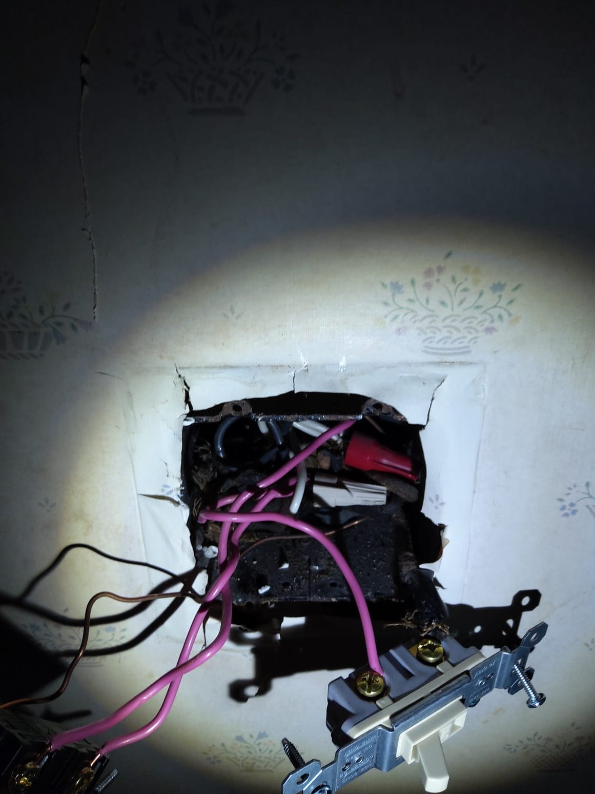 When it comes to reliable electrical solutions, trust the expertise of Service Professionals to handle your needs with precision and care.