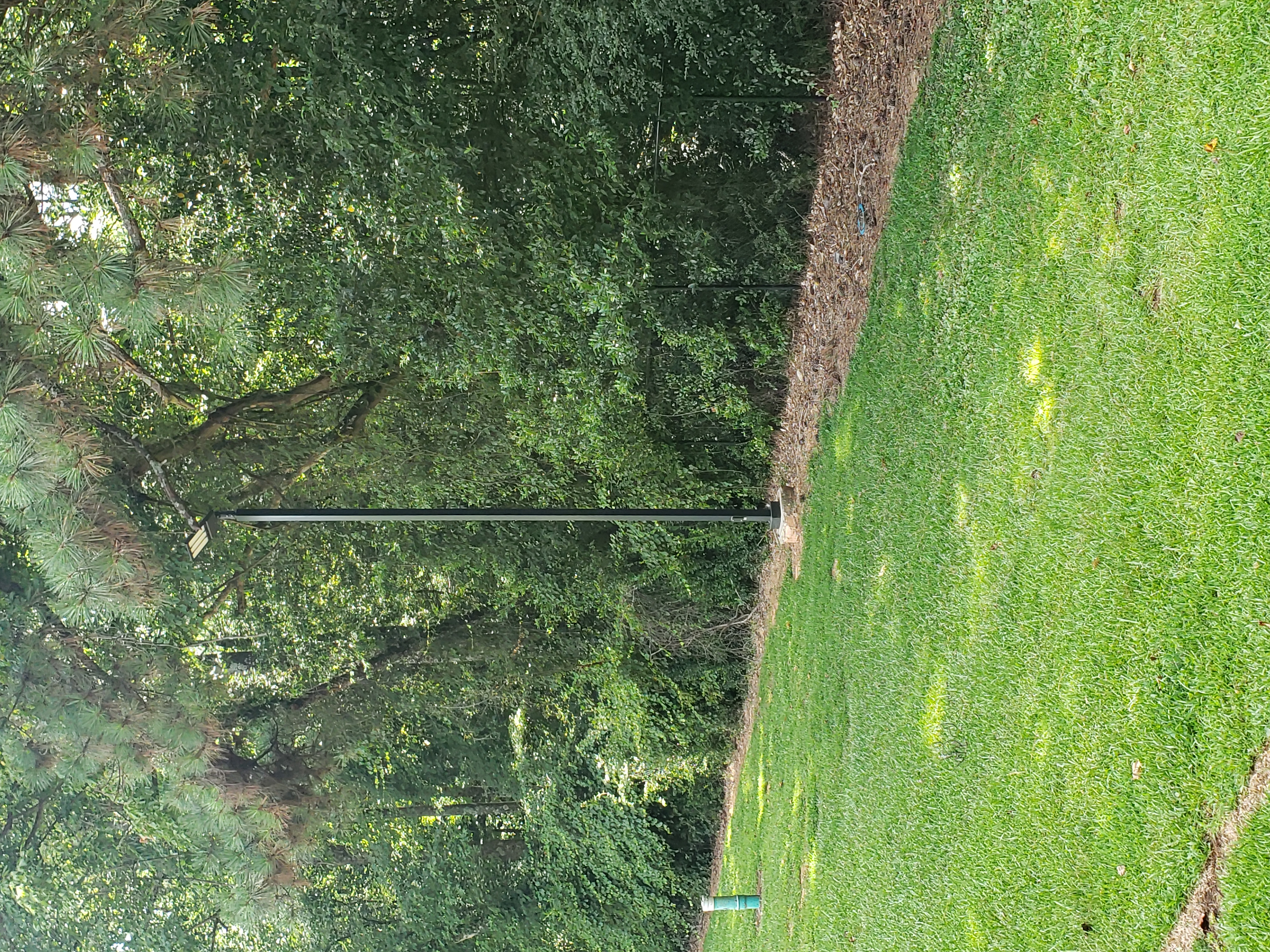 Illuminate your outdoors with precision and care - Aardvark Electric, Inc.