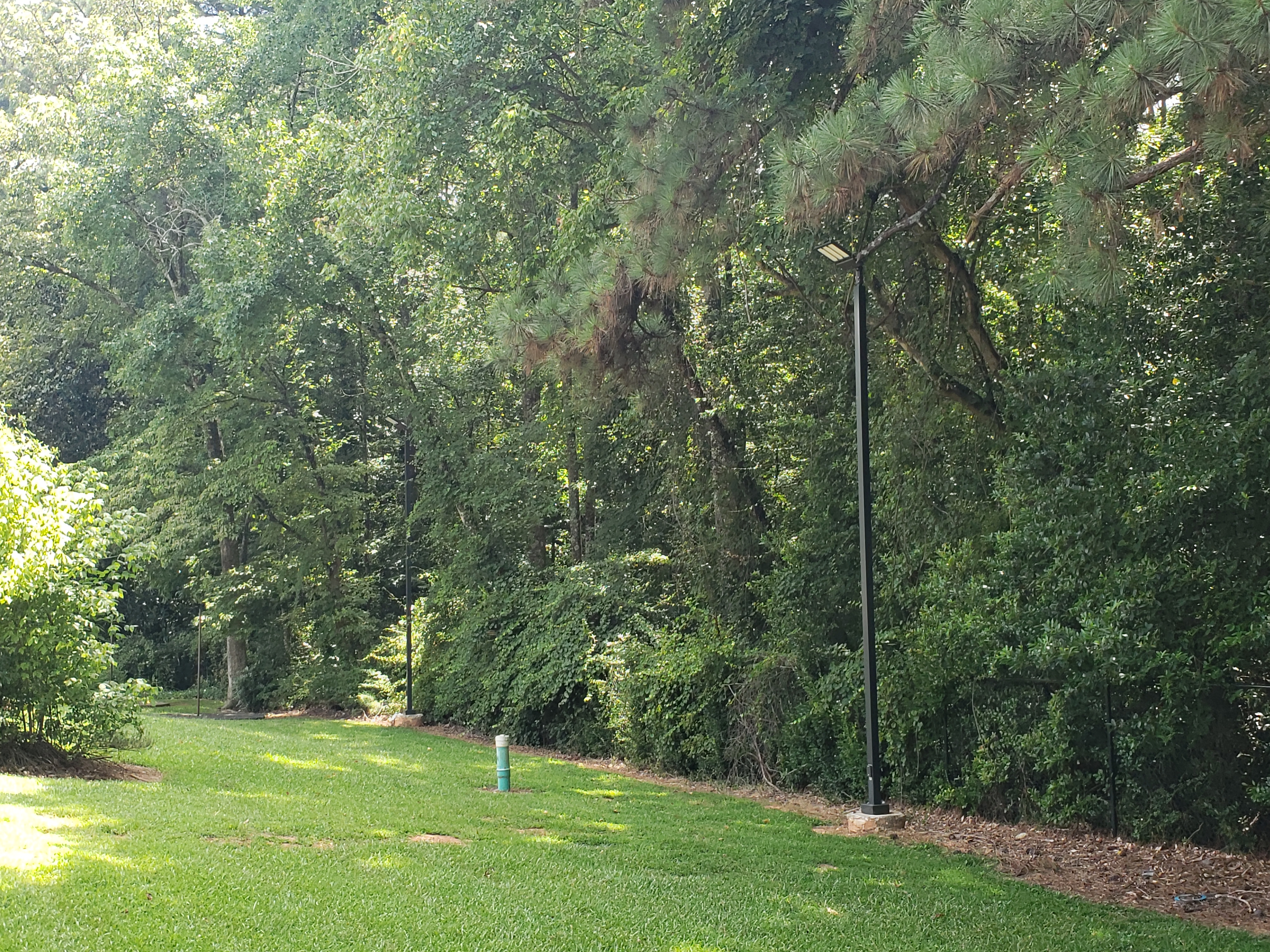 Brighten up your outdoors with Aardvark Electric, Inc.'s reliable lighting solutions.