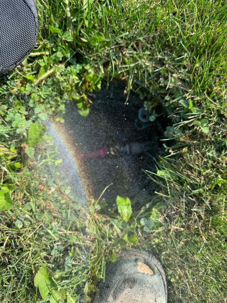 "Experience the vibrant touch of A-1 Plumbing & Emergency Rooter - Bringing quality and value to every corner."