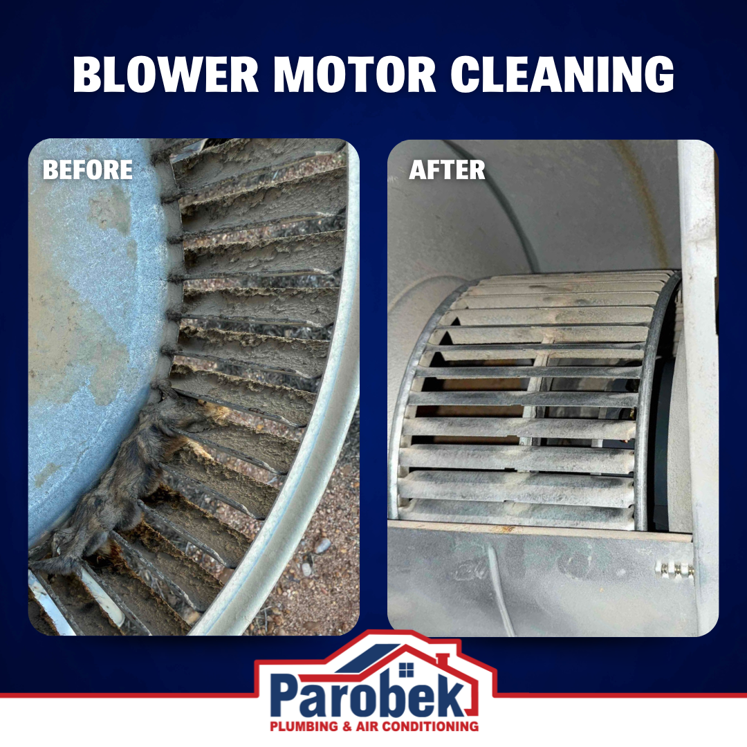 Parobek Plumbing & Air Conditioning showcases exceptional blower motor cleaning for optimal efficiency.