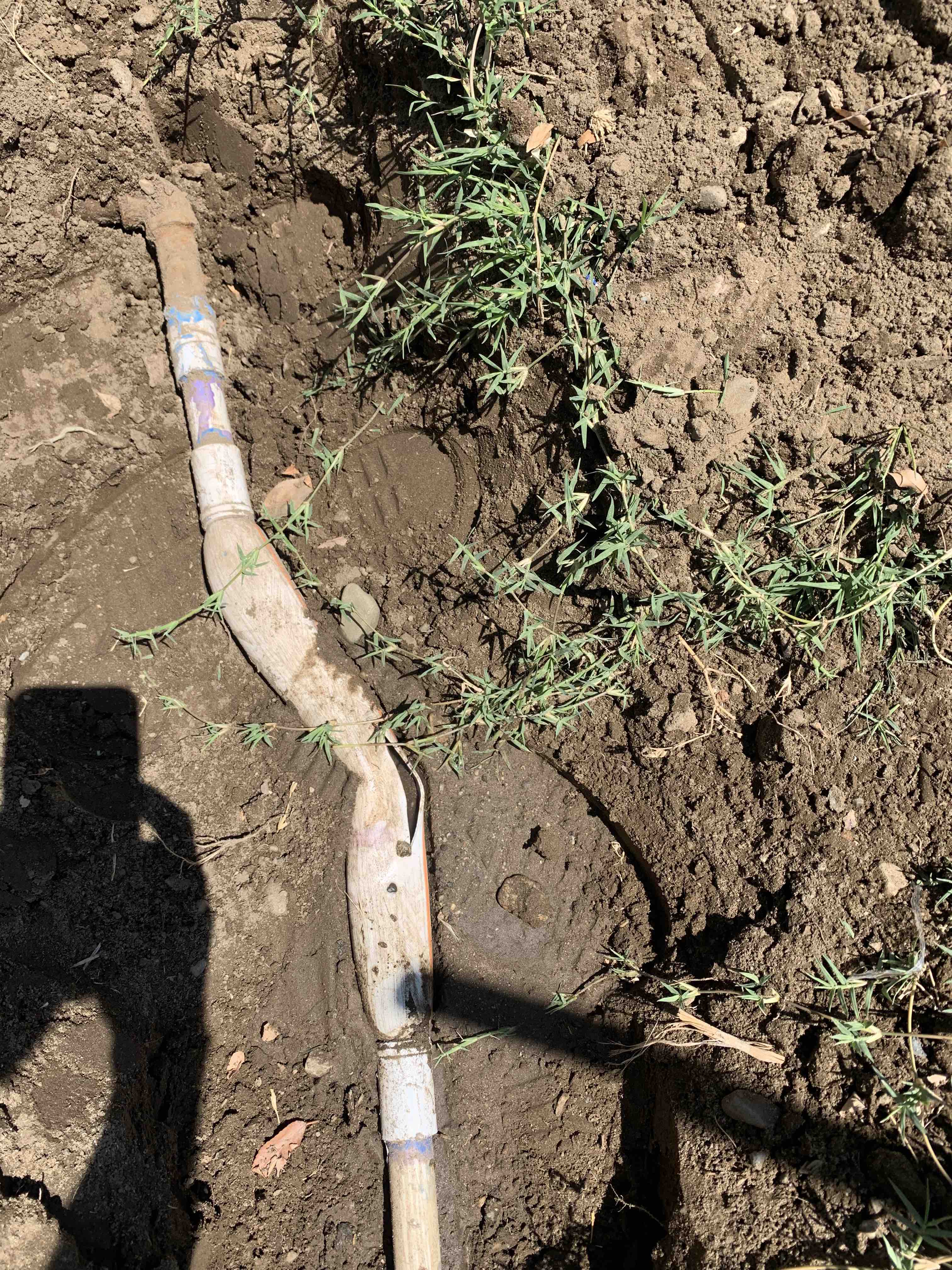 Cruz Plumbing & Rooter Services exposed and repaired a shallow service line with careful excavation, showing reliable residential plumbing work.