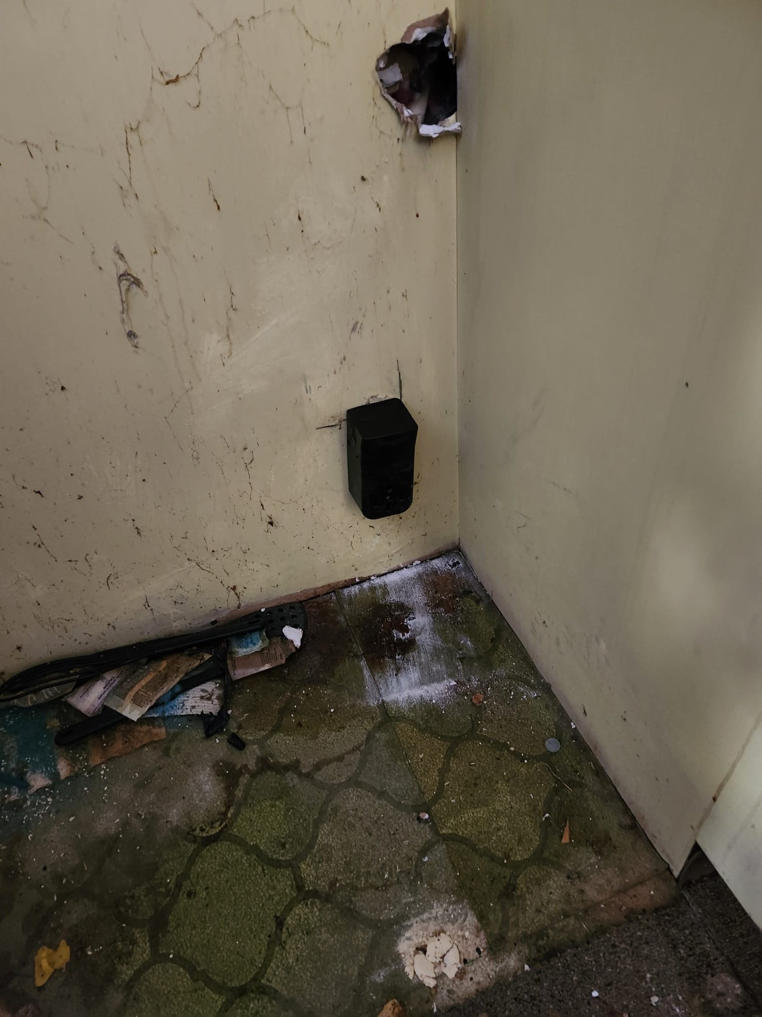 Service Professionals ensures your space never looks like this, with our expert repair and maintenance services for lasting results.