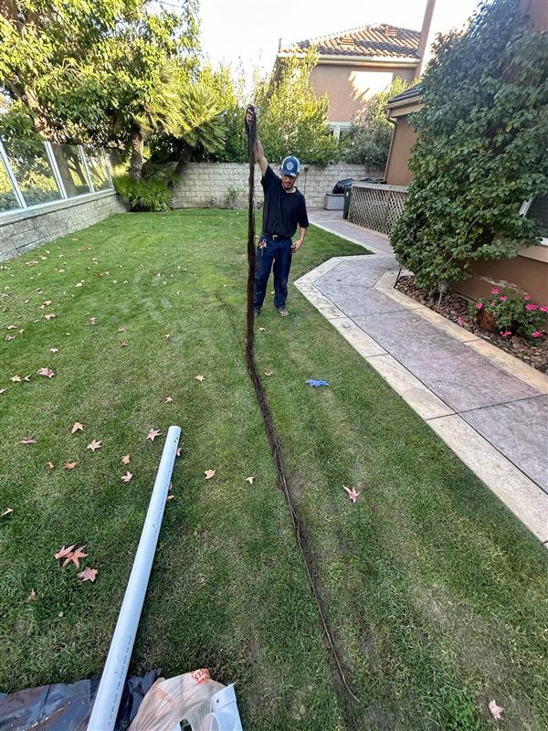 Cole Services exemplifies excellent plumbing expertise, ensuring clean and efficient debris removal in residential settings.