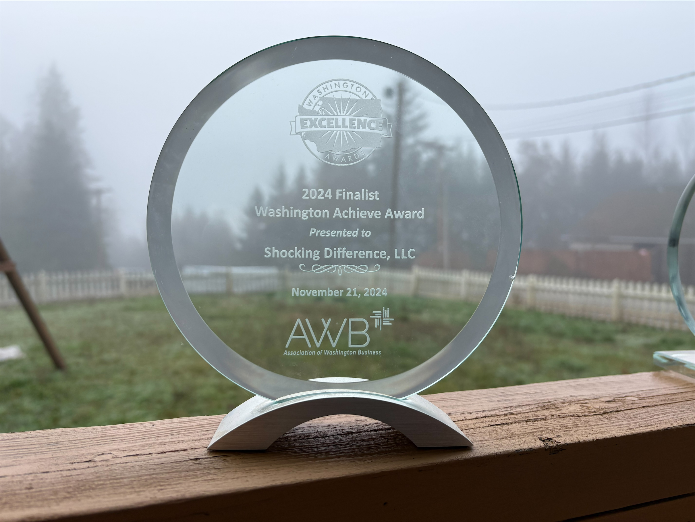Shocking Difference LLC proudly stands as a 2024 finalist for the Washington Achieve Award, embodying excellence and dedication in every service.