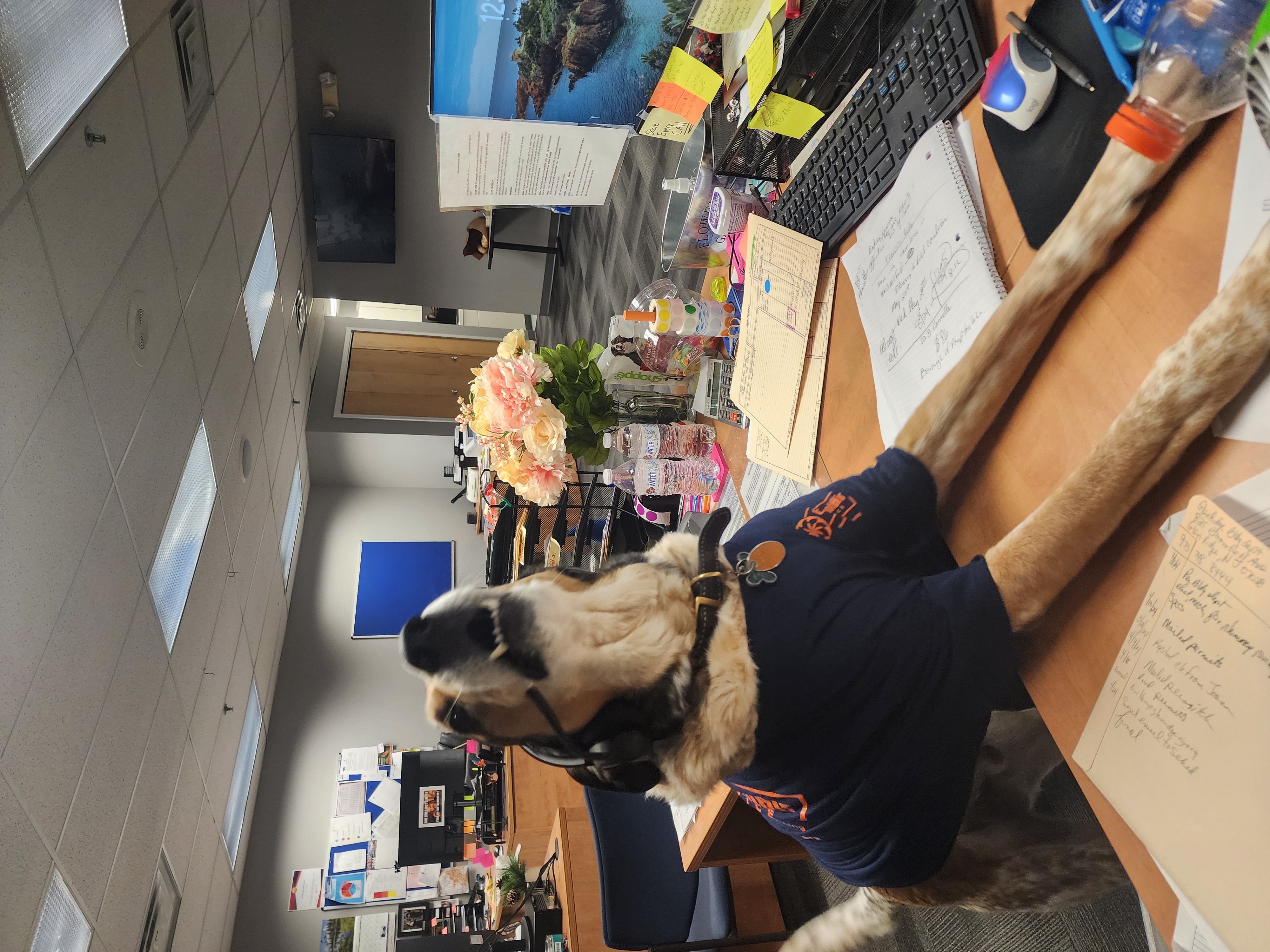 At Efficient Air Service, we combine professionalism with a friendly atmosphere to ensure a pleasant experience for all our clients.