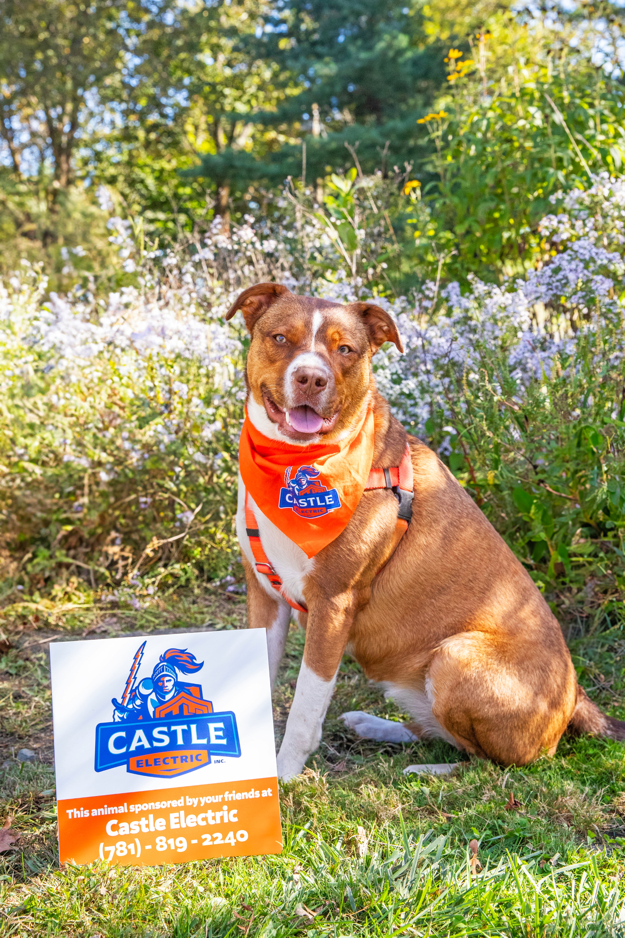 Brighten your day and electrify your life with Castle Electric, where quality meets care.