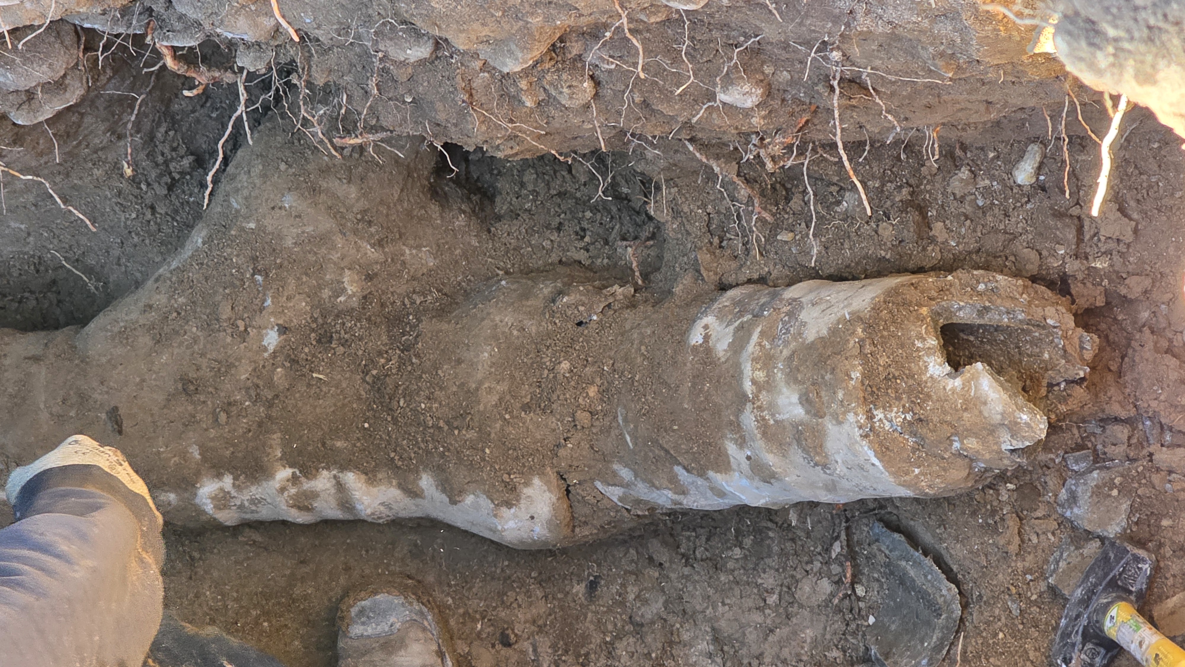 Eric's Plumbing & Drain Cleaning: Efficient, reliable solutions for all your plumbing challenges.