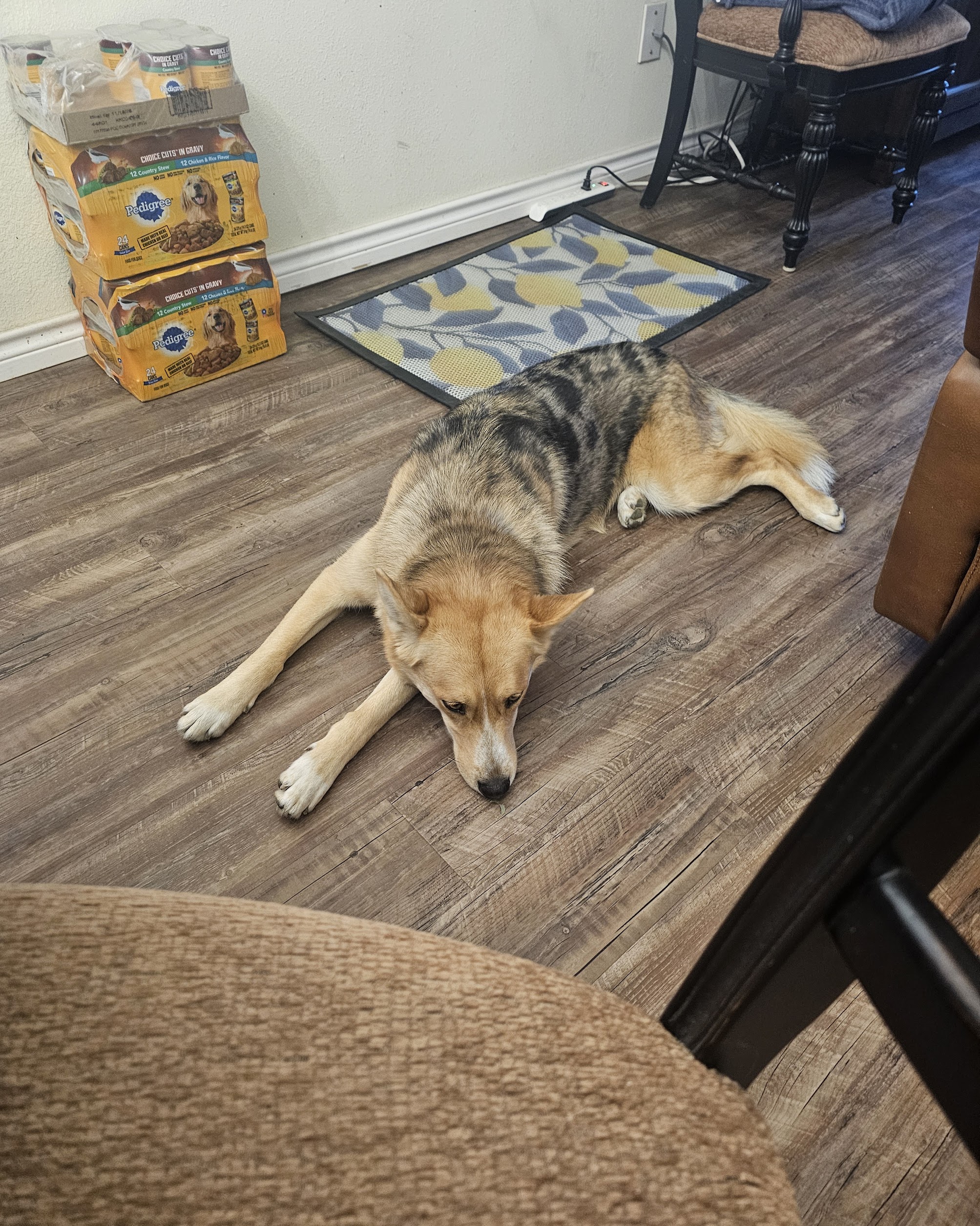 A cozy, clean home environment highlights flooring durability and reliability from Abacus Plumbing, Air Conditioning & Electrical.