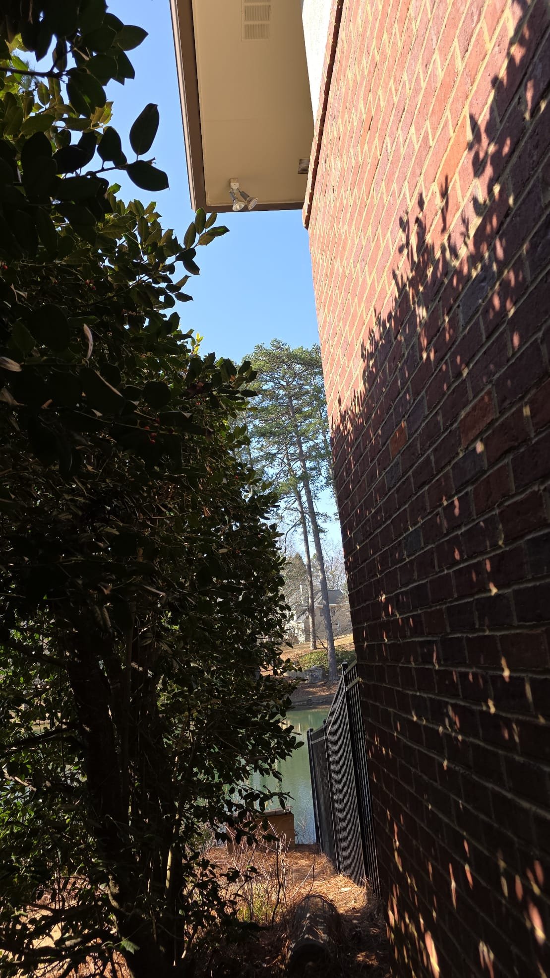 Experience seamless outdoor lighting solutions with Aardvark Electric, Inc. amidst tranquil settings.