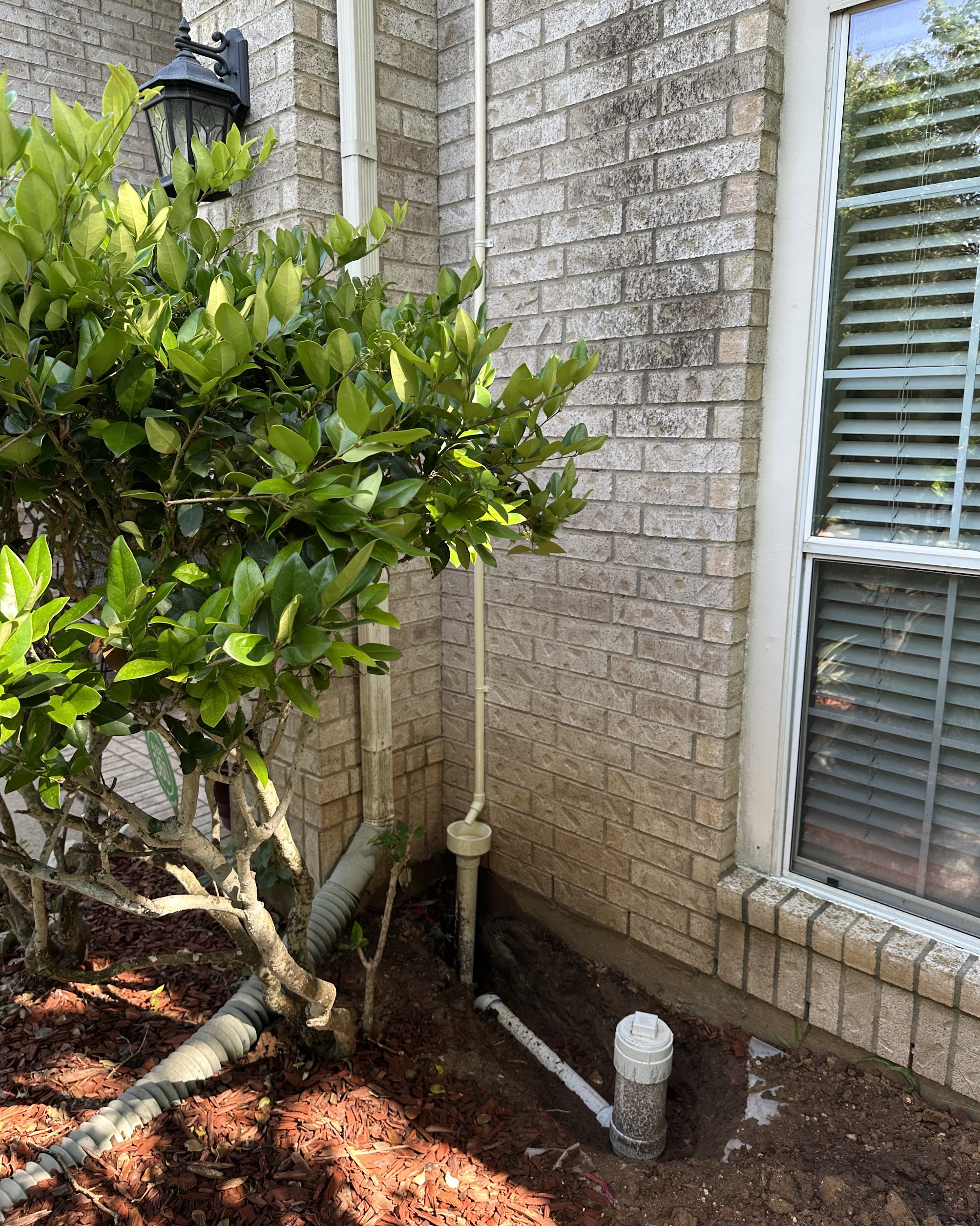 Careful drainage repair and cleanout installation show how Abacus Plumbing, Air Conditioning & Electrical protects homes from water damage with lasting results.