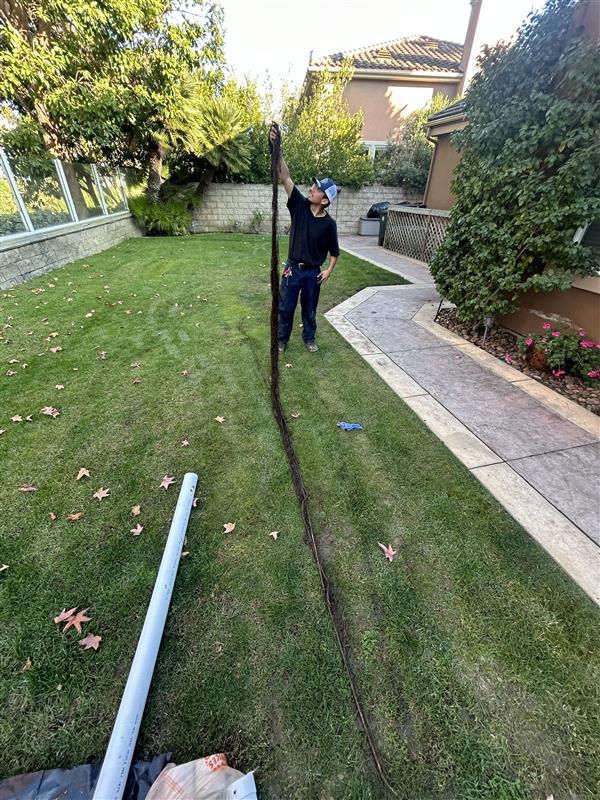 Experience top-notch outdoor services with Cole Services, ensuring quality and professionalism every step of the way!
