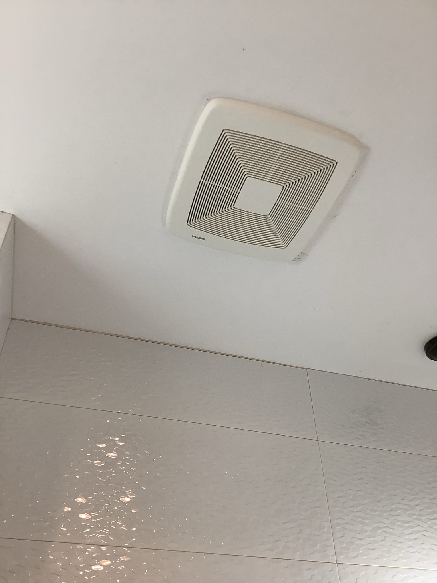 Powell Electric shows reliable ventilation care with a cleanly photographed ceiling fan ready for inspection or service.