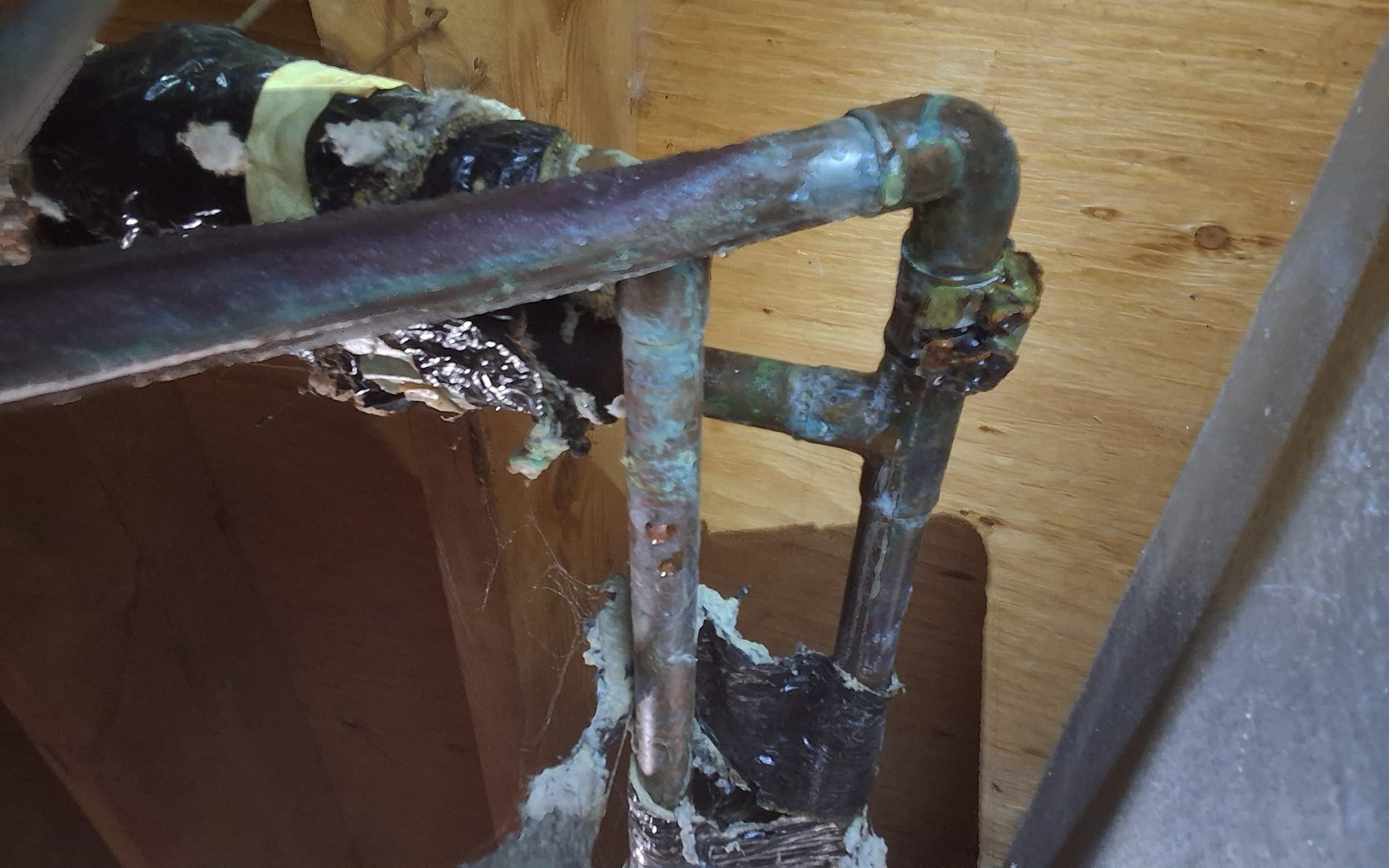 At WireNut Home Services, we ensure your plumbing is in pristine condition, tackling even the toughest challenges with expertise and professionalism.