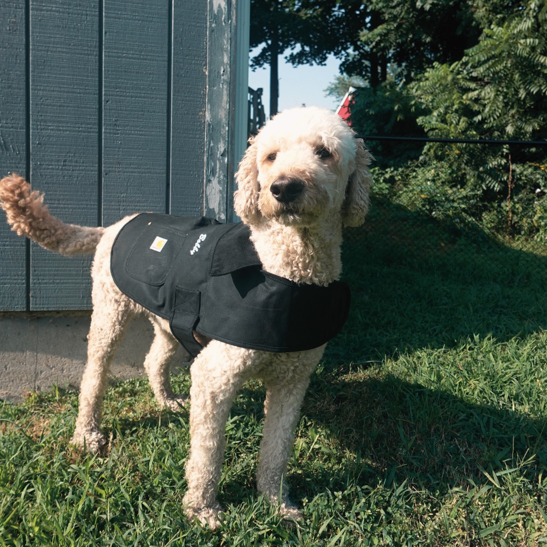 G&C Plumbing & Heating: Bringing comfort and safety to every corner of your home.